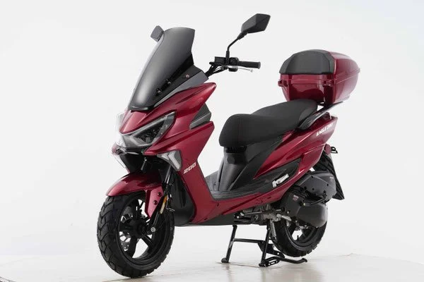 EAGLE 200 BURGUNDY.jpg