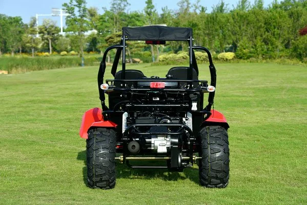 VENTURE 200 EFI GO-KART REAR.jpg