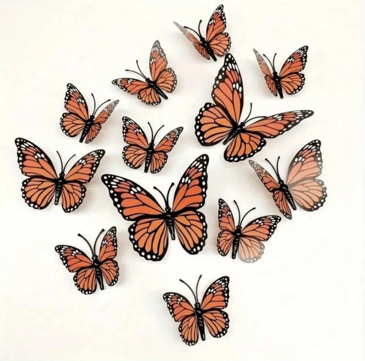Monarch Butterflies