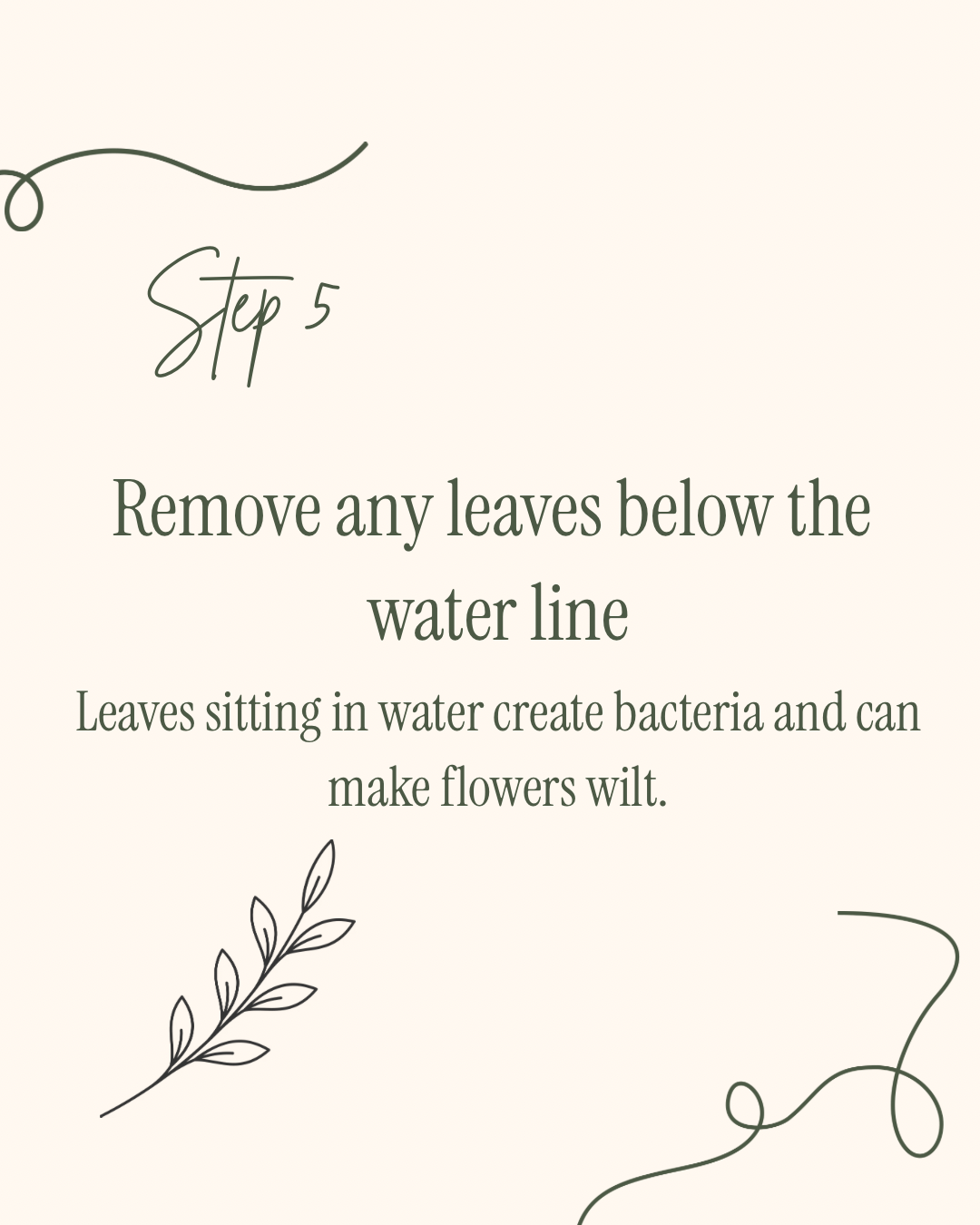 Step 5 of a gardening guide: Remove any leaves below the water line. Illustration of a plant with leaves, with decorative lines in a minimalist style.