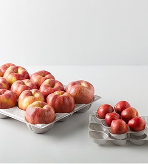 Nareumee protective produce packaging