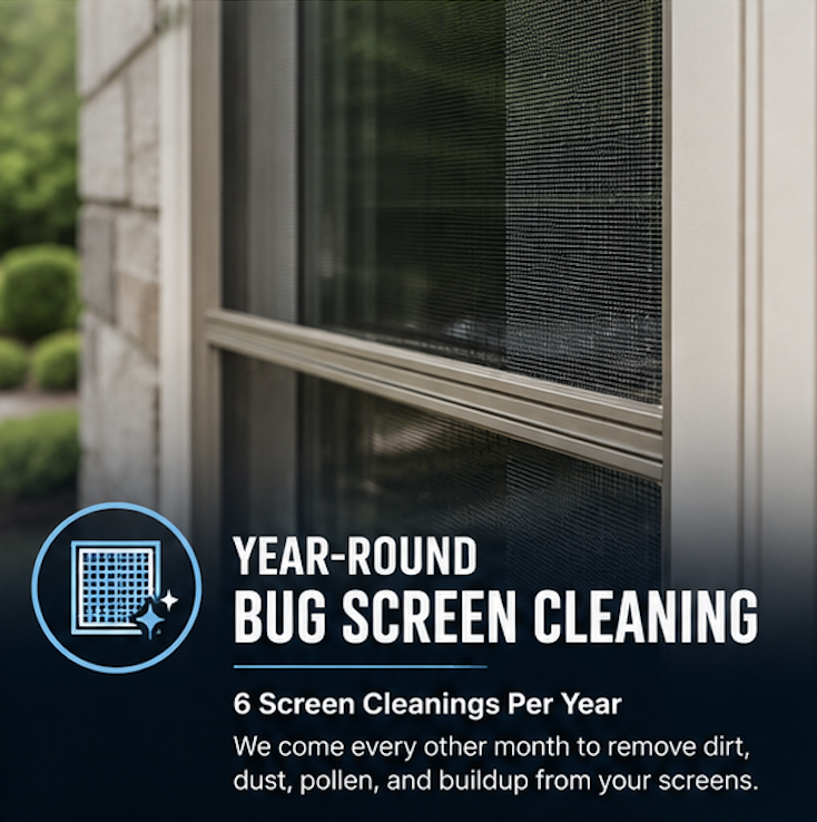 Year-Round Bug Screen Cleaning