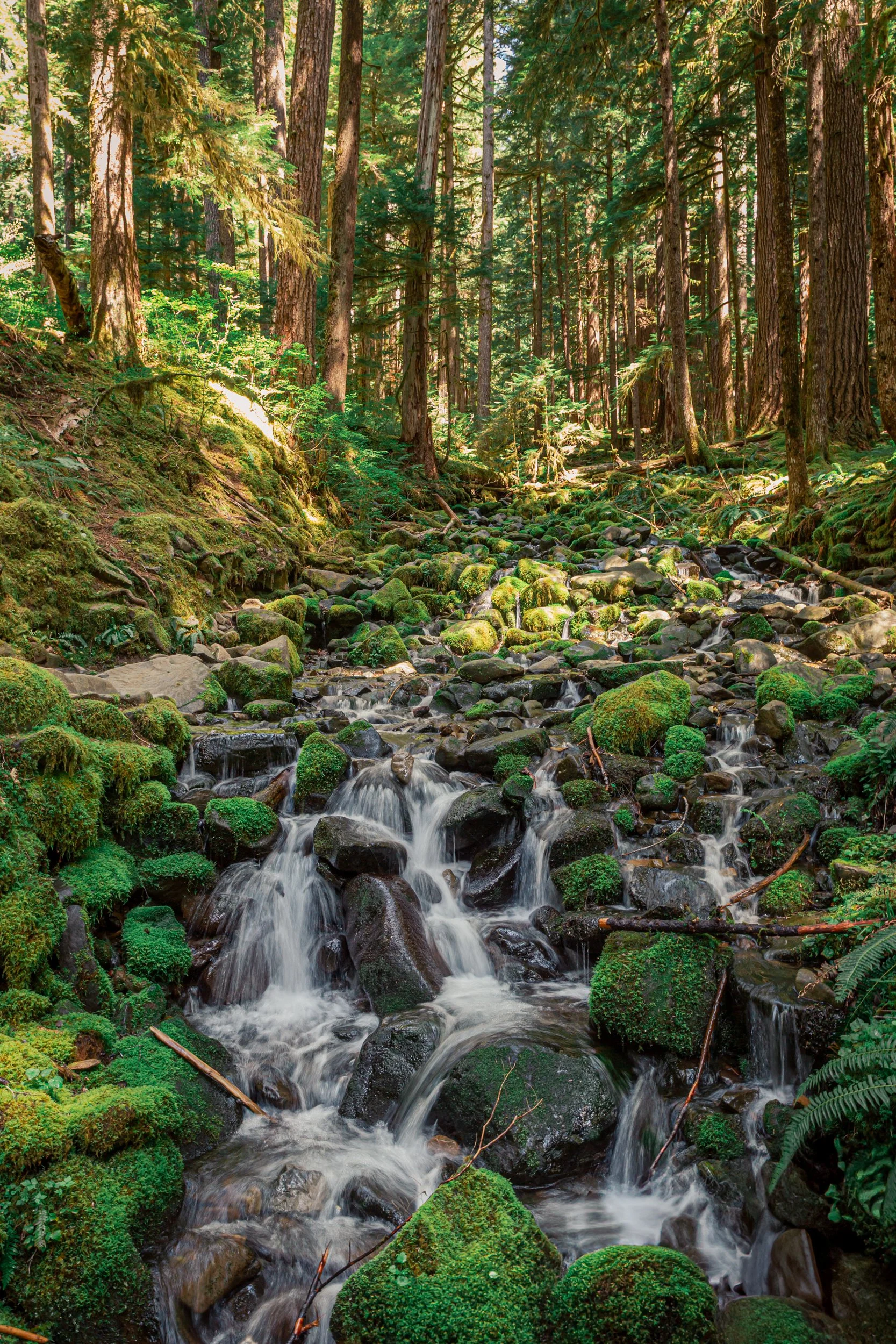 PNW Kyla Waterfall Soleduck Trail Falls