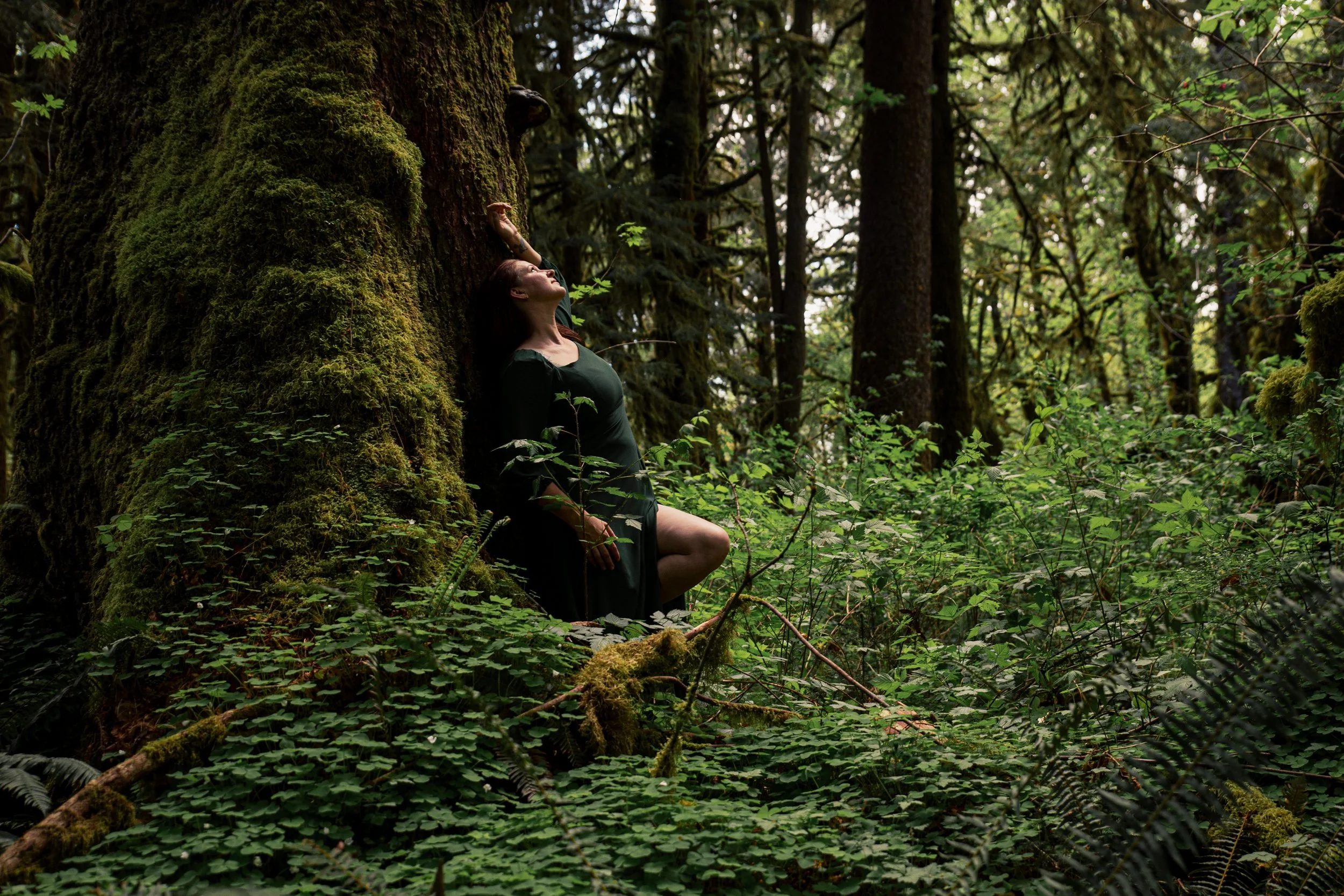 PNW Kyla Maple Glade Trail Washington