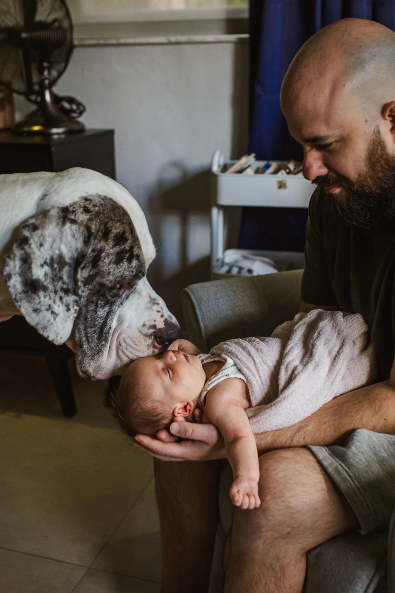 A man with a shaved head and beard is holding a sleeping baby in his lap. A large dog, likely a Great Dane, is licking the baby's face. The scene is indoors, with a fan on a nightstand and a medical cart in the background.
