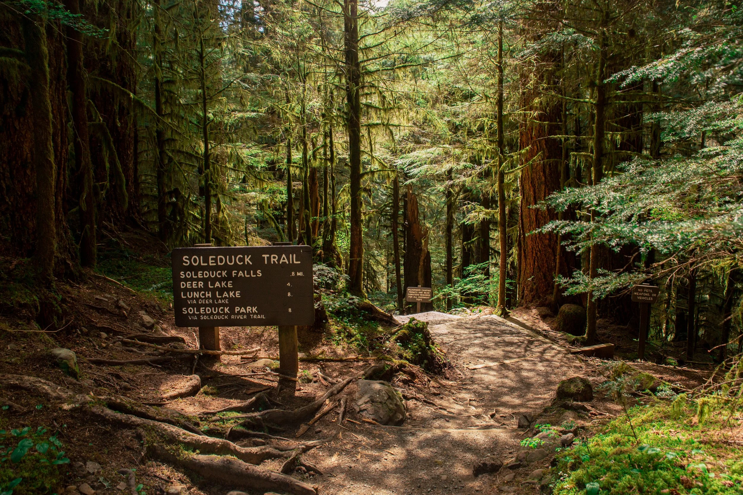PNW Kyla Soleduck Trail Olympic National Park