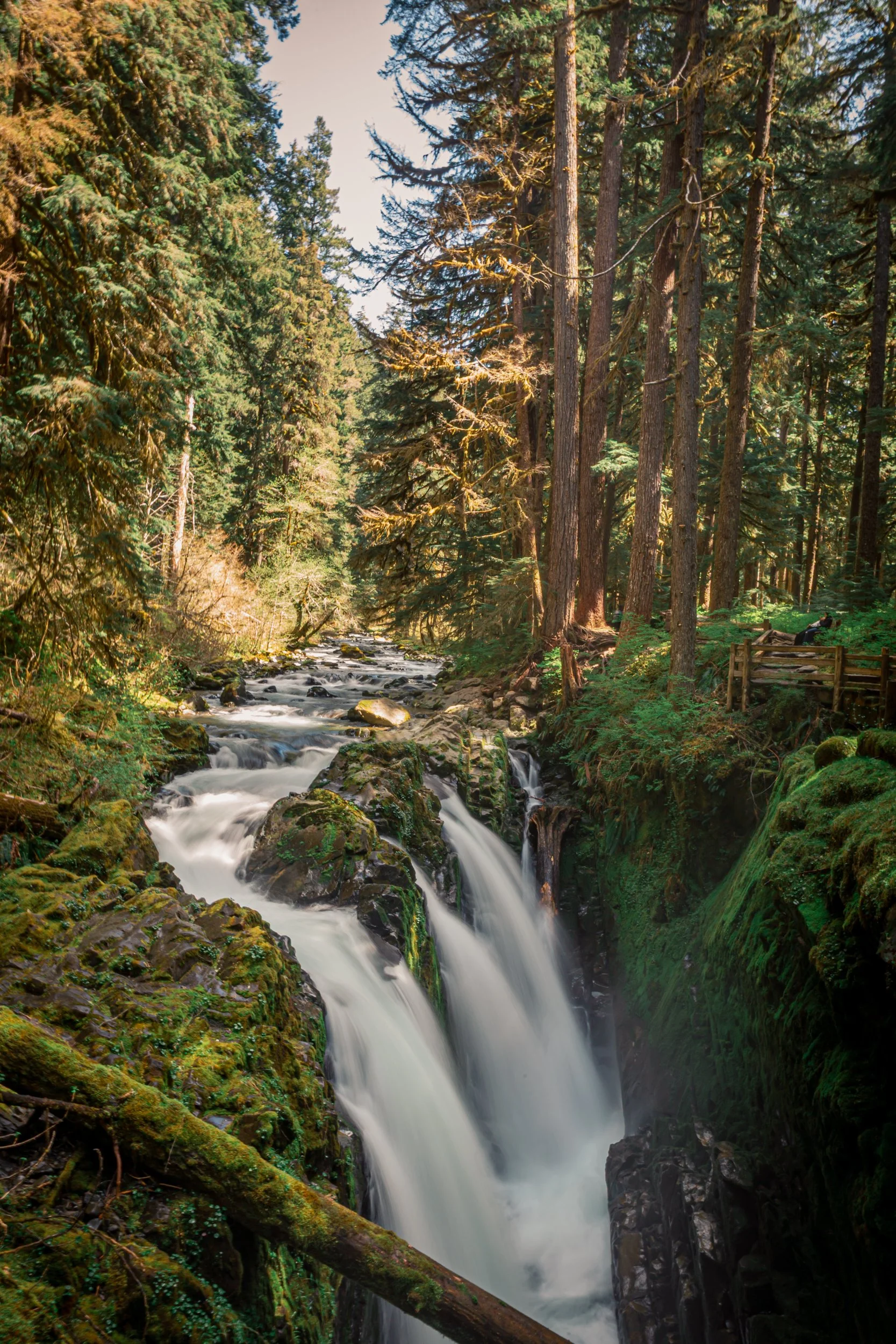 PNW  Kyla Olympic National Park misty waterfall Soleduck Trail