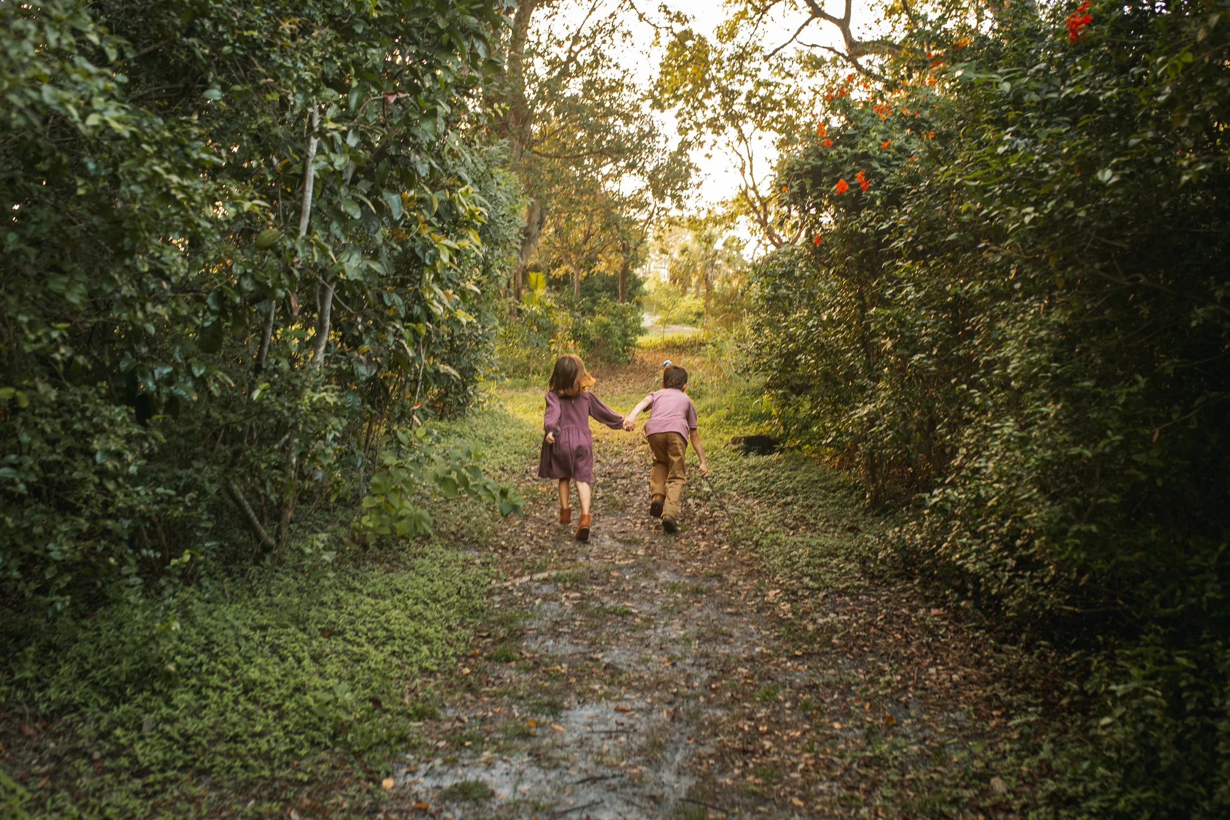 Two children, a girl and a boy, are walking hand-in-hand along a dirt path through a lush, green forest during sunset.