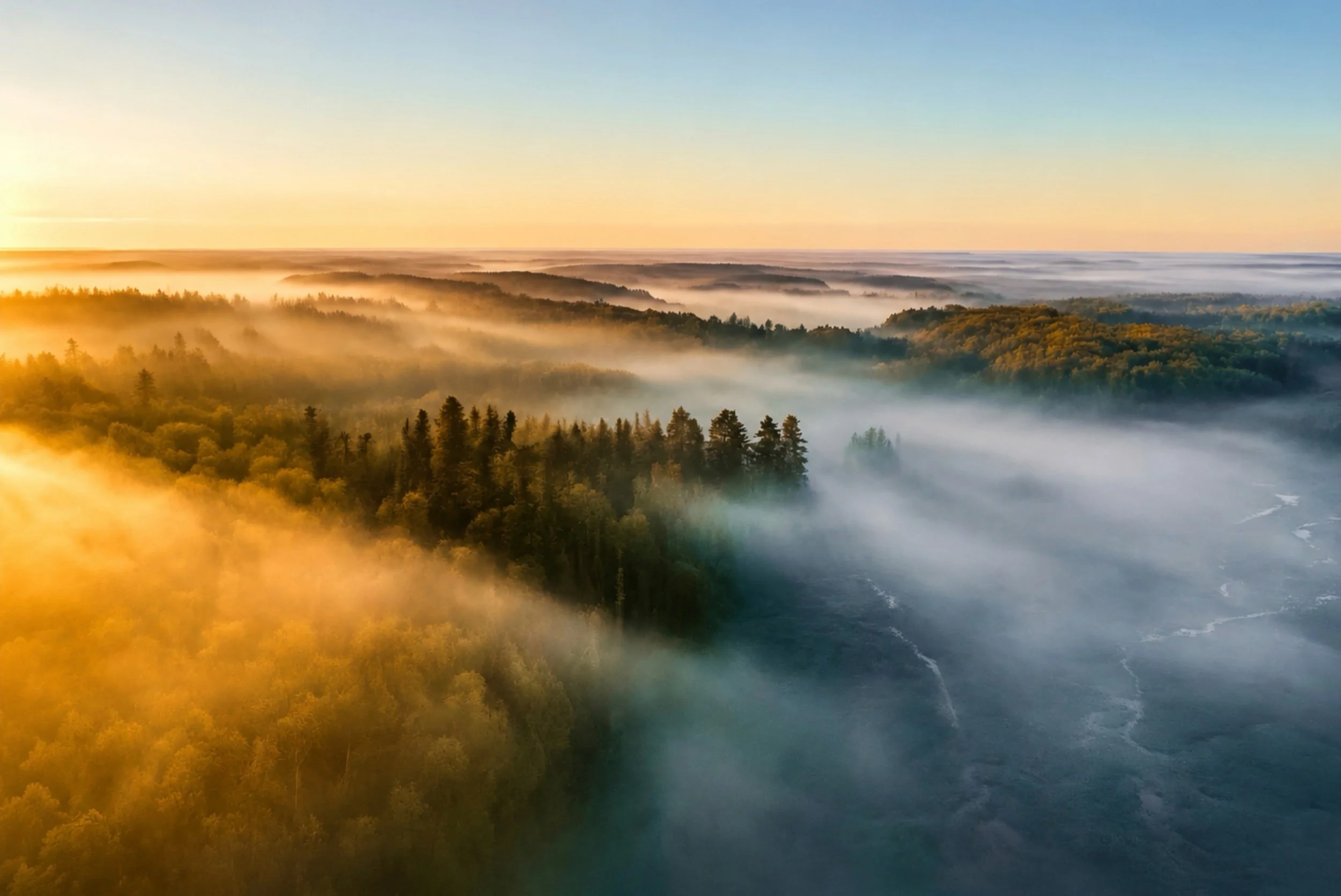 Mists of Serenity Limited Edition