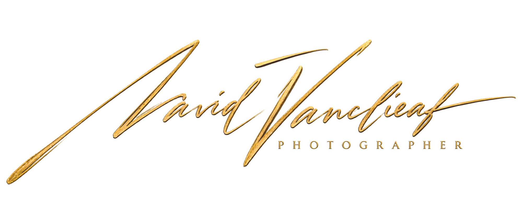 Gold and red logo with cursive text reading 'David Vlahov Photographe' on a black background.