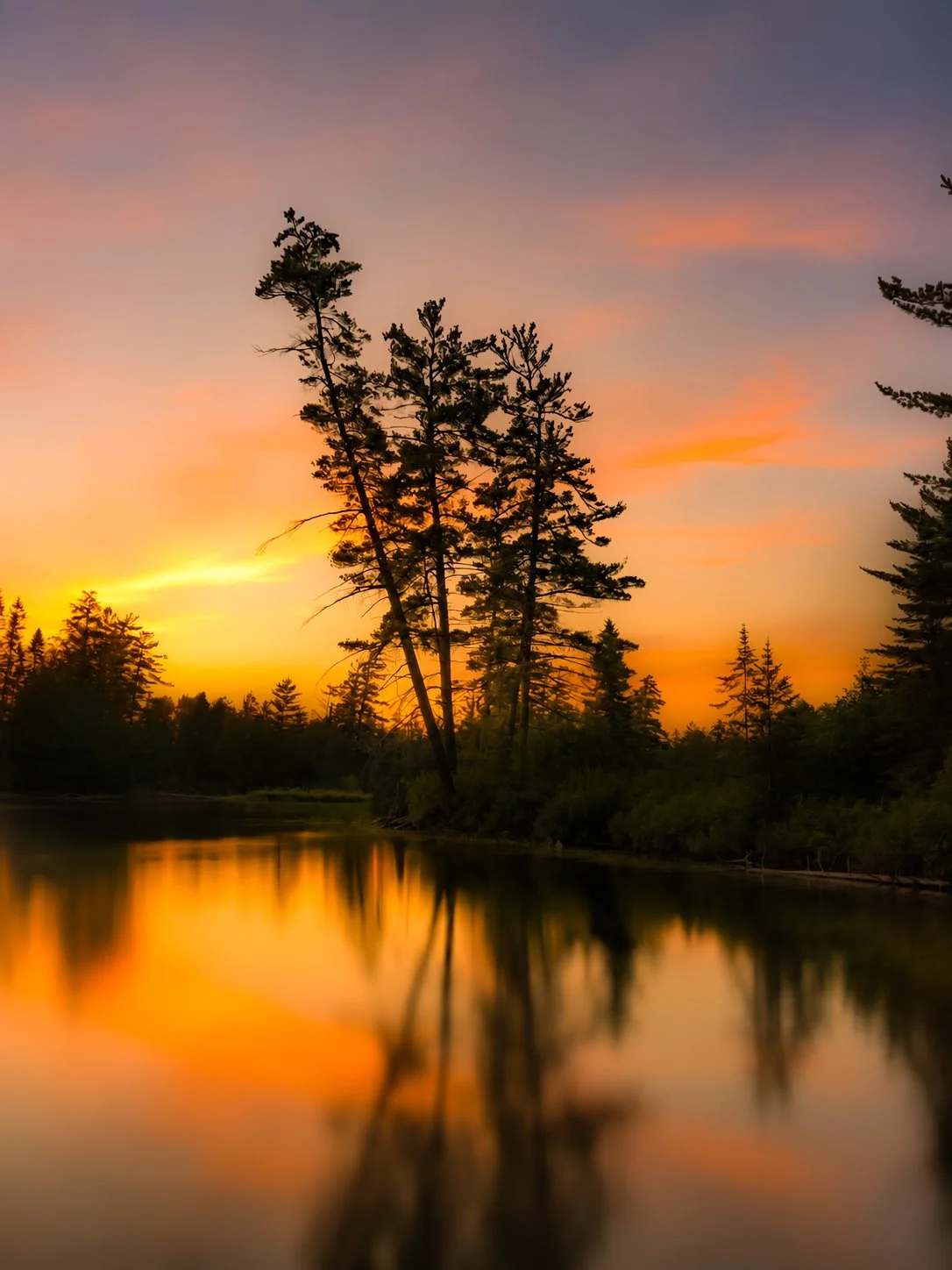Oxtongue Afterglow Limited Edition