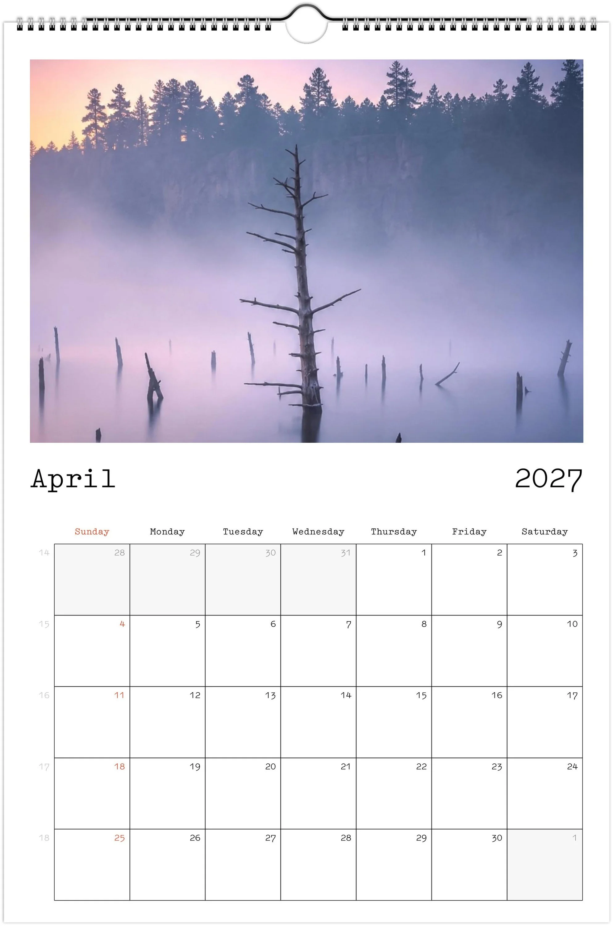 month-4.jpeg