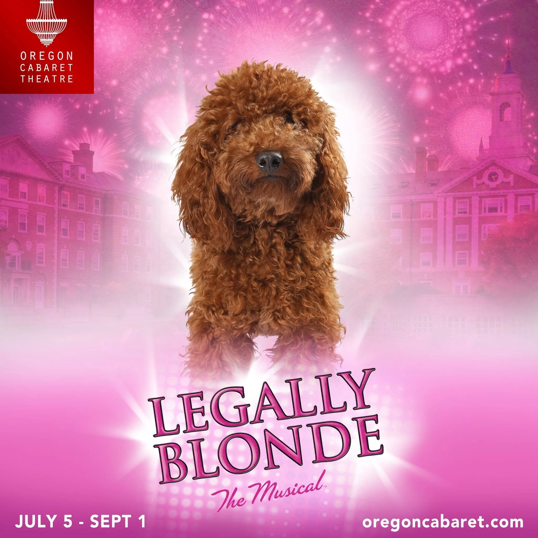Legally Blonde (2024)