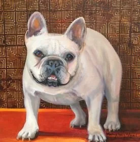 Fancy Frenchie.JPG