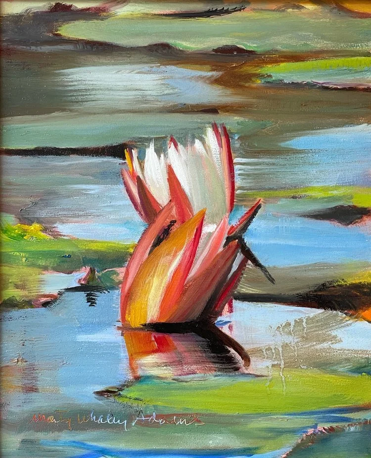 Highland Lake Water Lily II.jpg