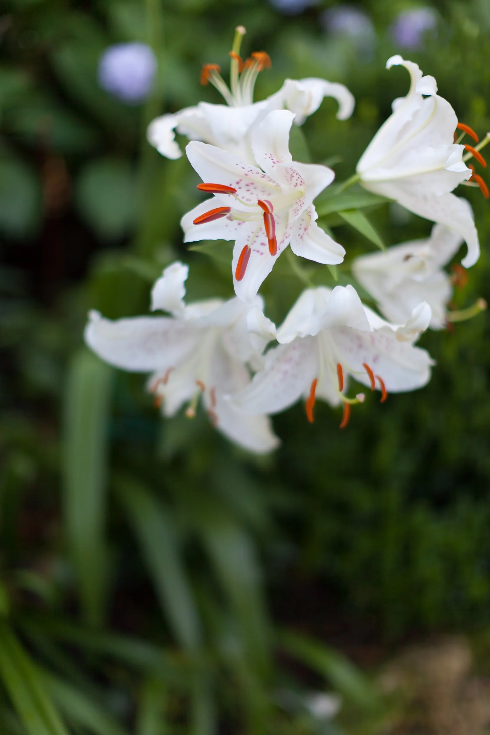 untitled-128.jpg