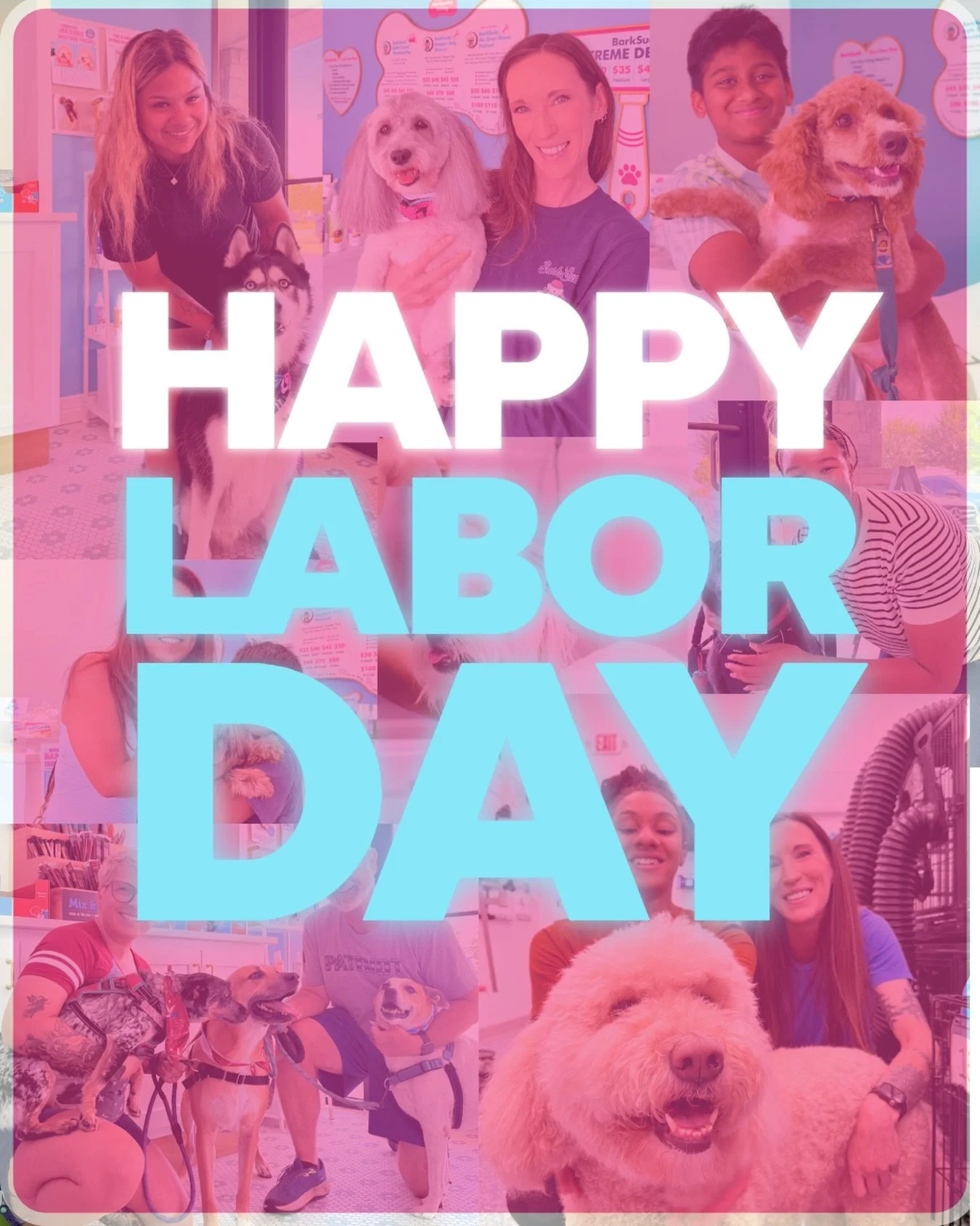 Today, we celebrate the hardworking people who keep our communities going! 🇺🇸🐾 

From our BarkSuds Sugar Land family to yours, have a fun and relaxing Labor Day! 💙

#LaborDay #BarkSudsSugarLand #SugarLandTX #DogGrooming #FamilyFirst