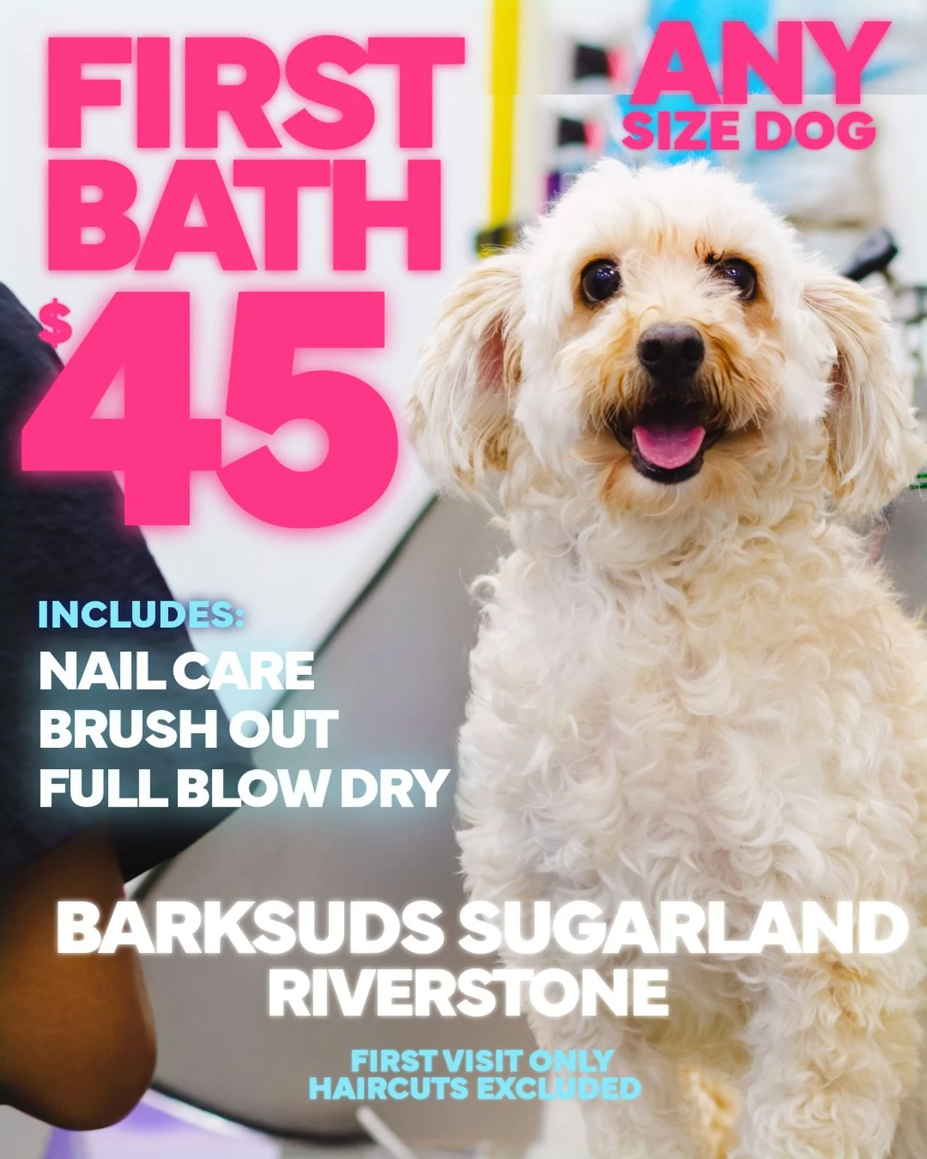 FIRST VISIT $45 ANY SIZE DOG! 🐾🛁

Includes nail care, brush-out + full blow dry. First time visitors only  book your pup now! 💙

#BarkSudsSugarLand #SugarLandDogs #DogBath #DogGrooming #FirstVisitSpecial
