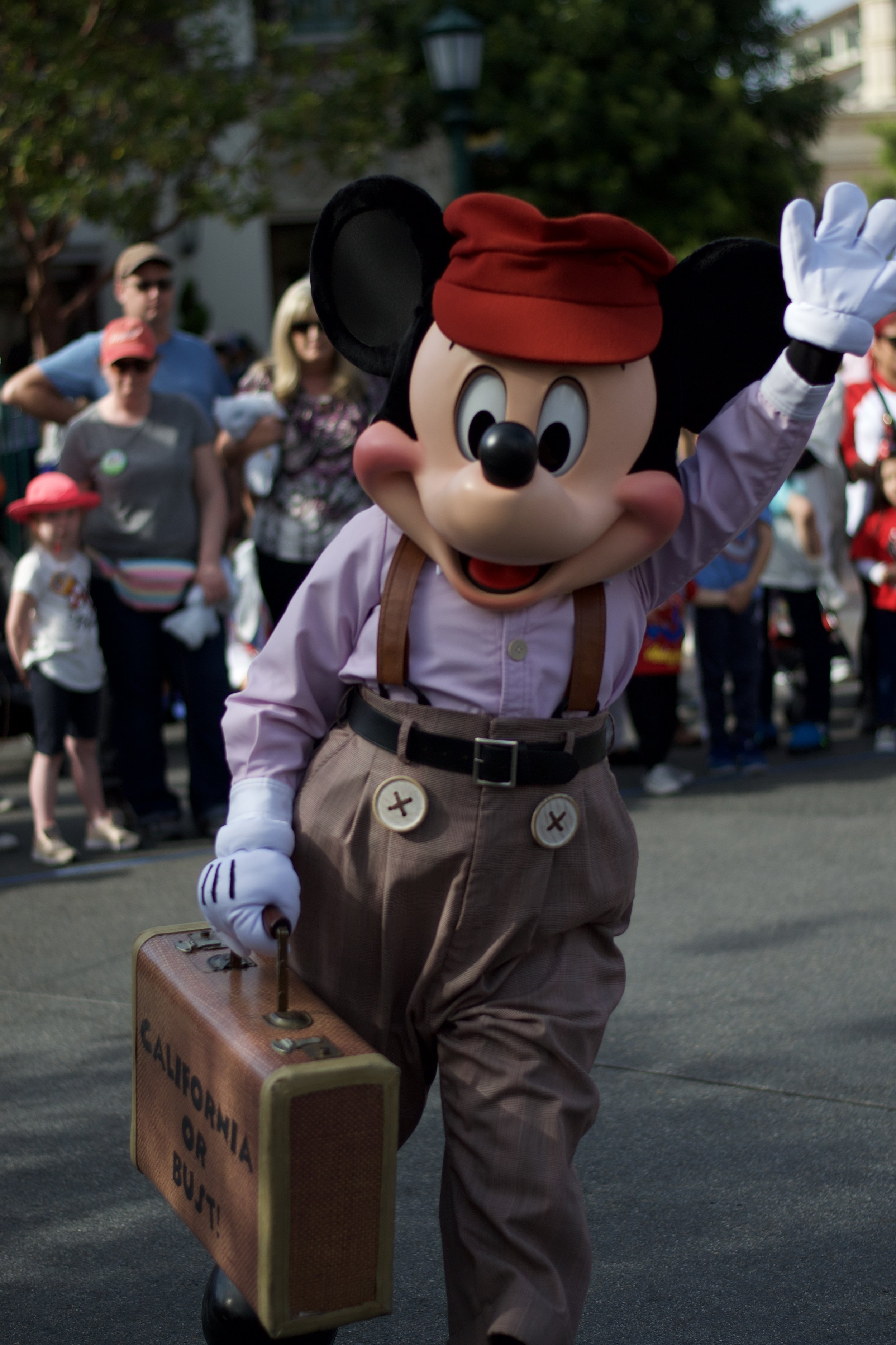 DSC_0224.JPEG
