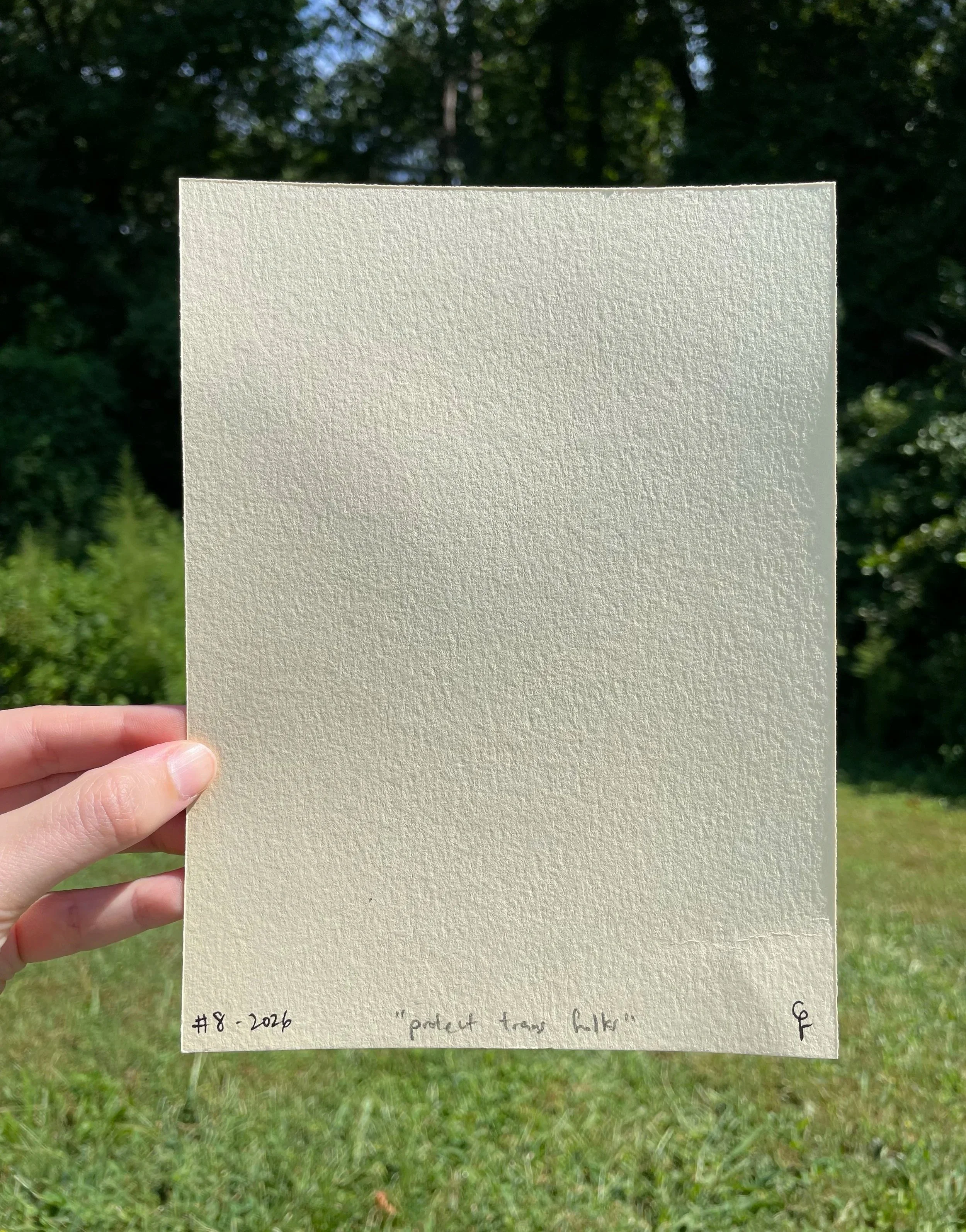 butterfly+cream+paper+back.jpg