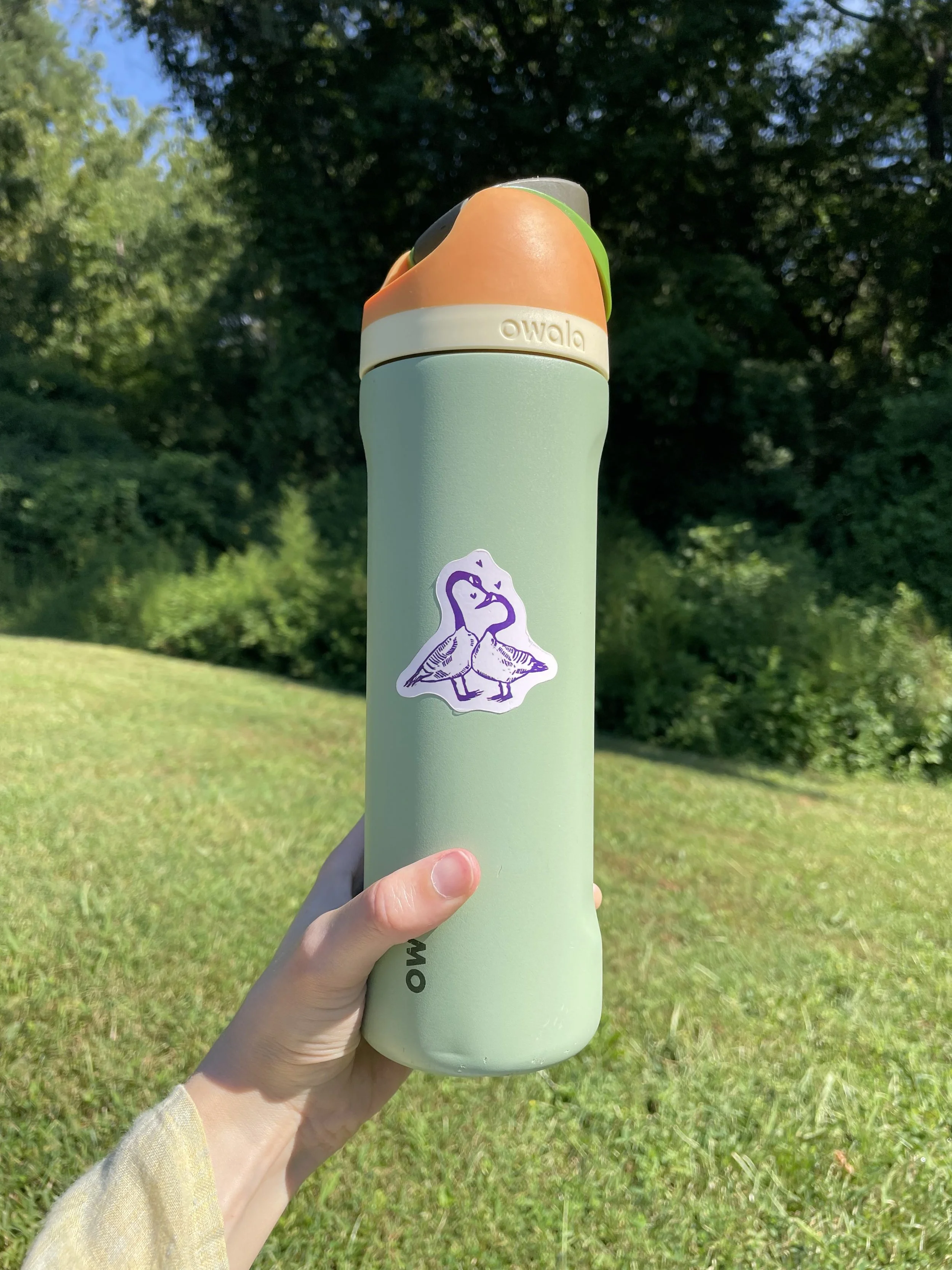 geese on bottle.jpg