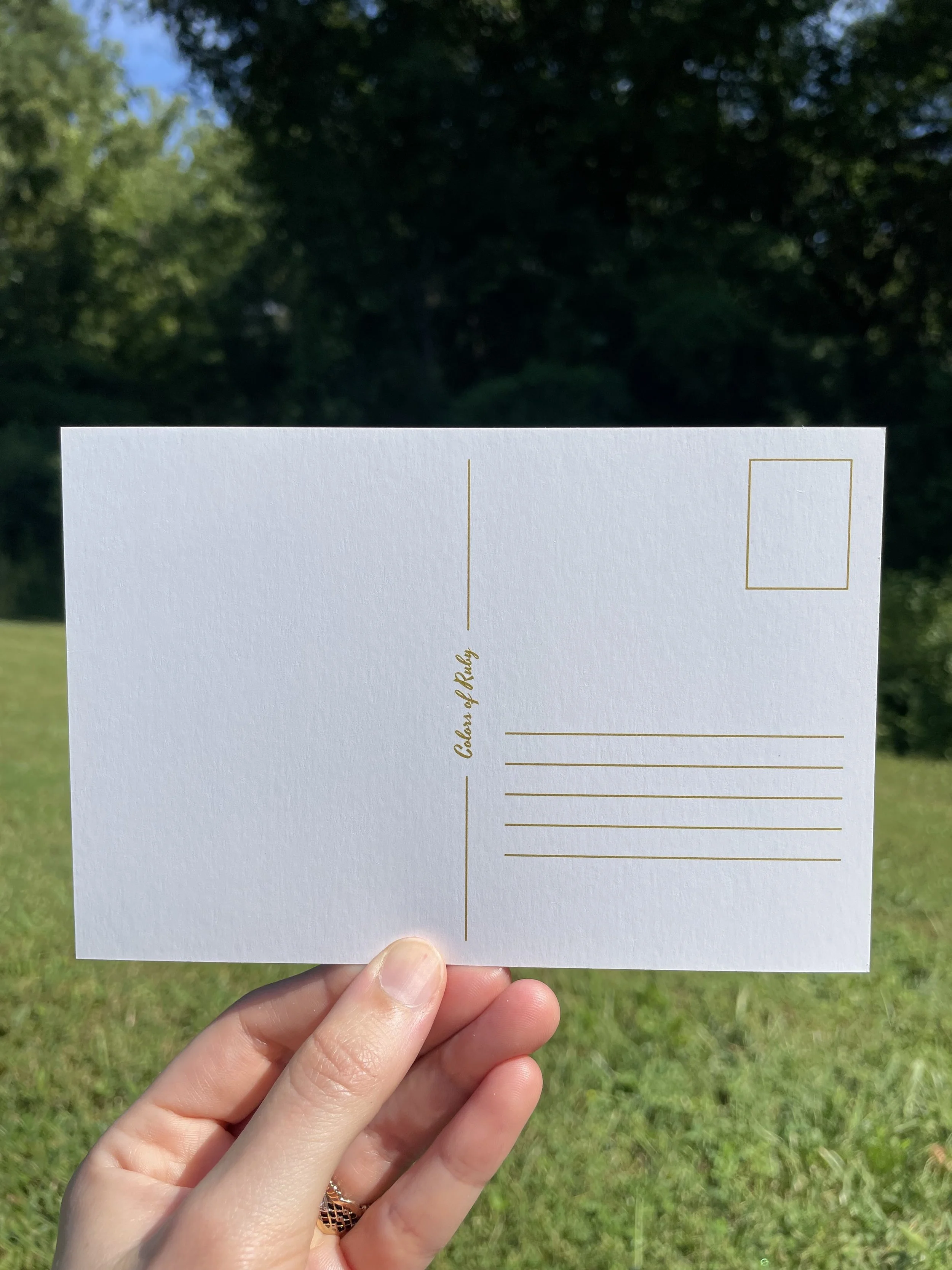 nina postcard 2.jpg