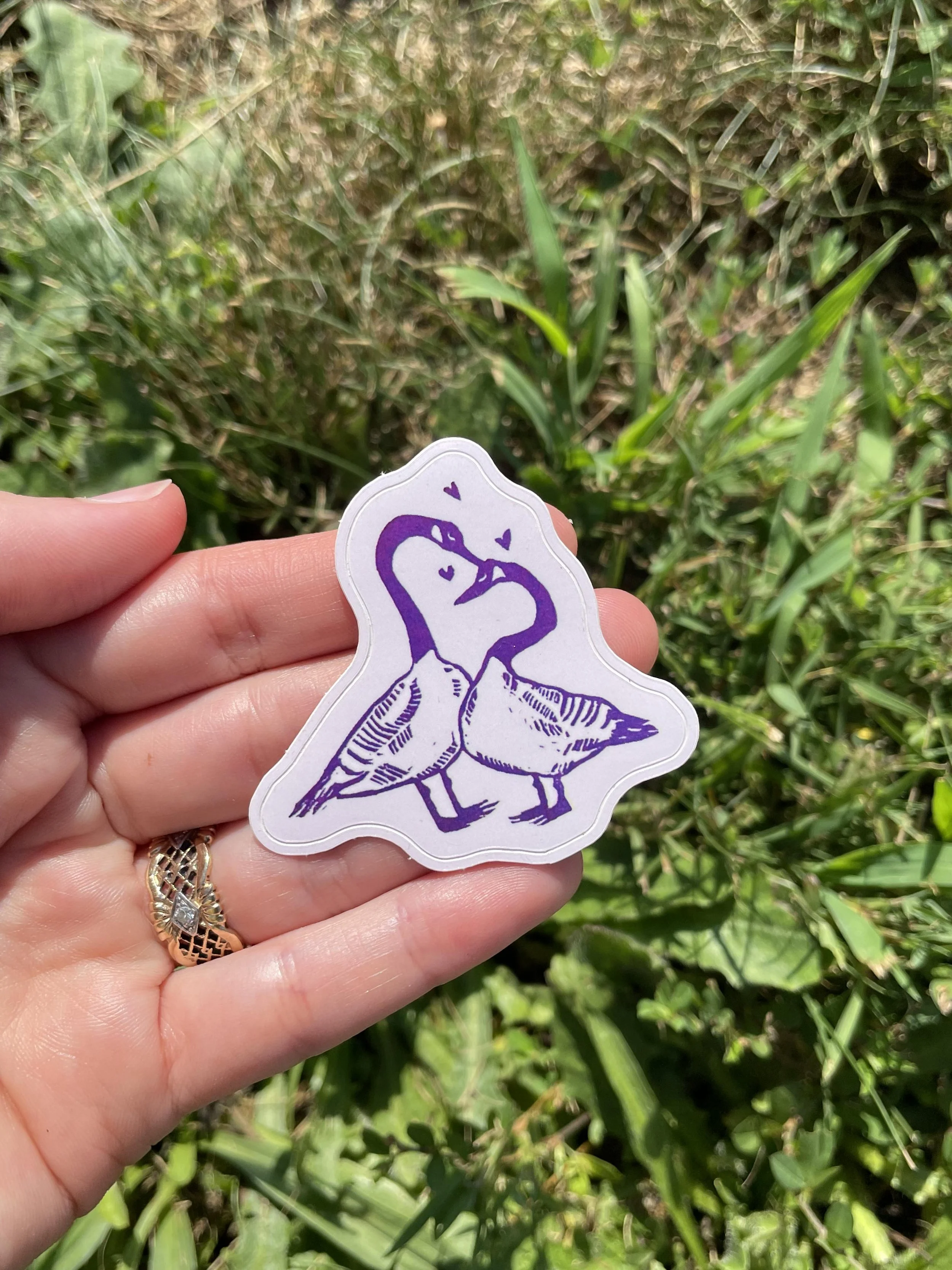 canadian geese sticker.jpg