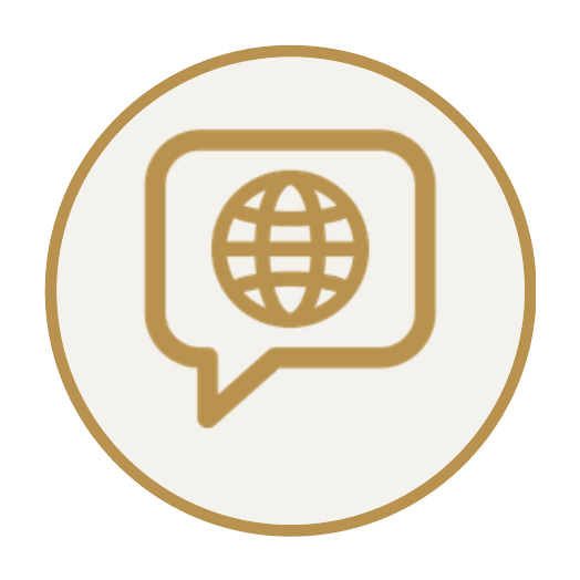 Icon of a speech bubble with a globe inside, representing internet or global communication.