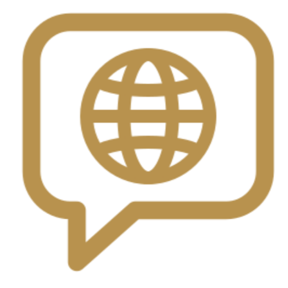 A speech bubble icon with a globe inside it, representing internet or global communication.