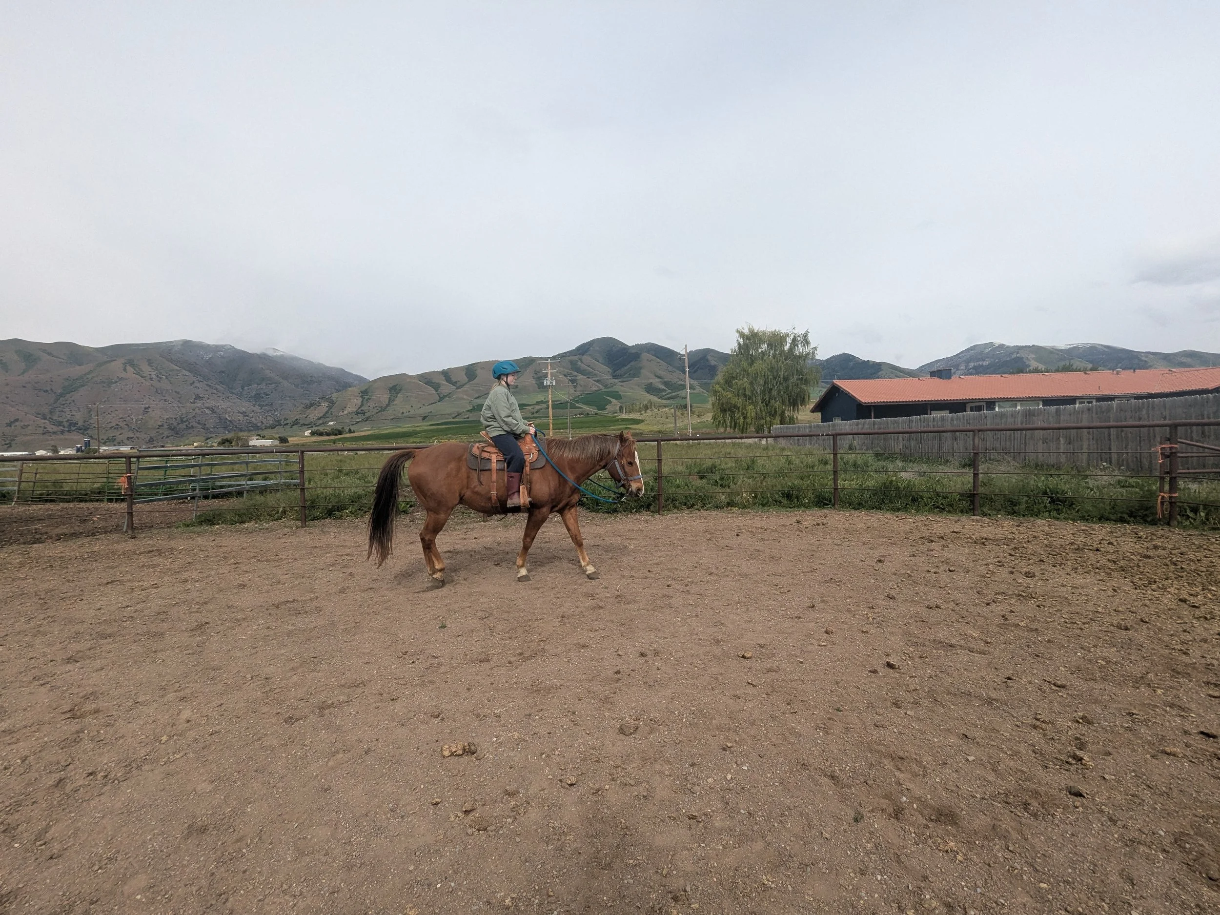 A person riding a brown horse in an enclosed dirt area with a fence. The rider is wearing a blue helmet and a light gray jacket. Background shows rolling hills, mountains, and a cloudy sky.