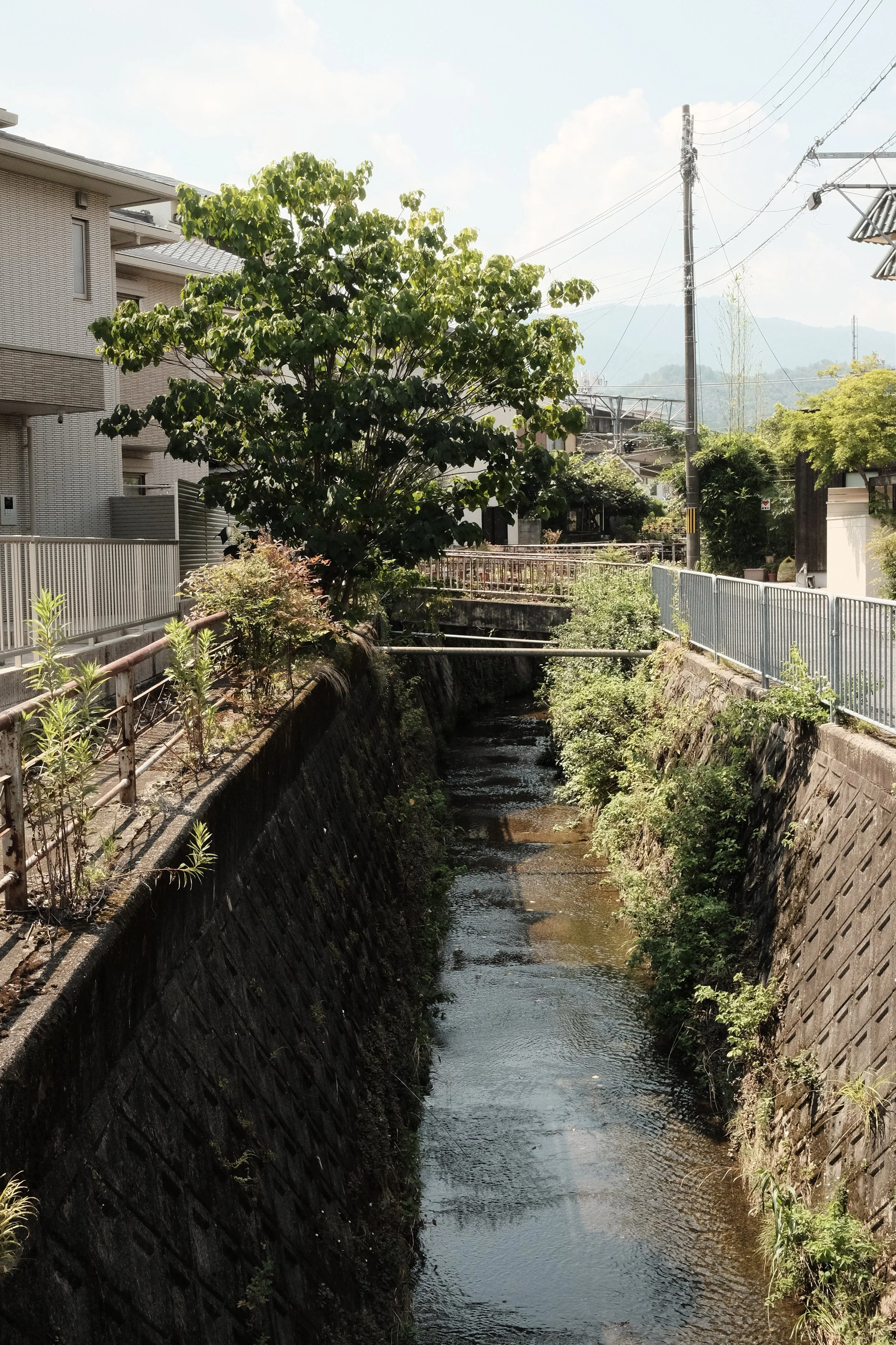 DSCF6916.JPG