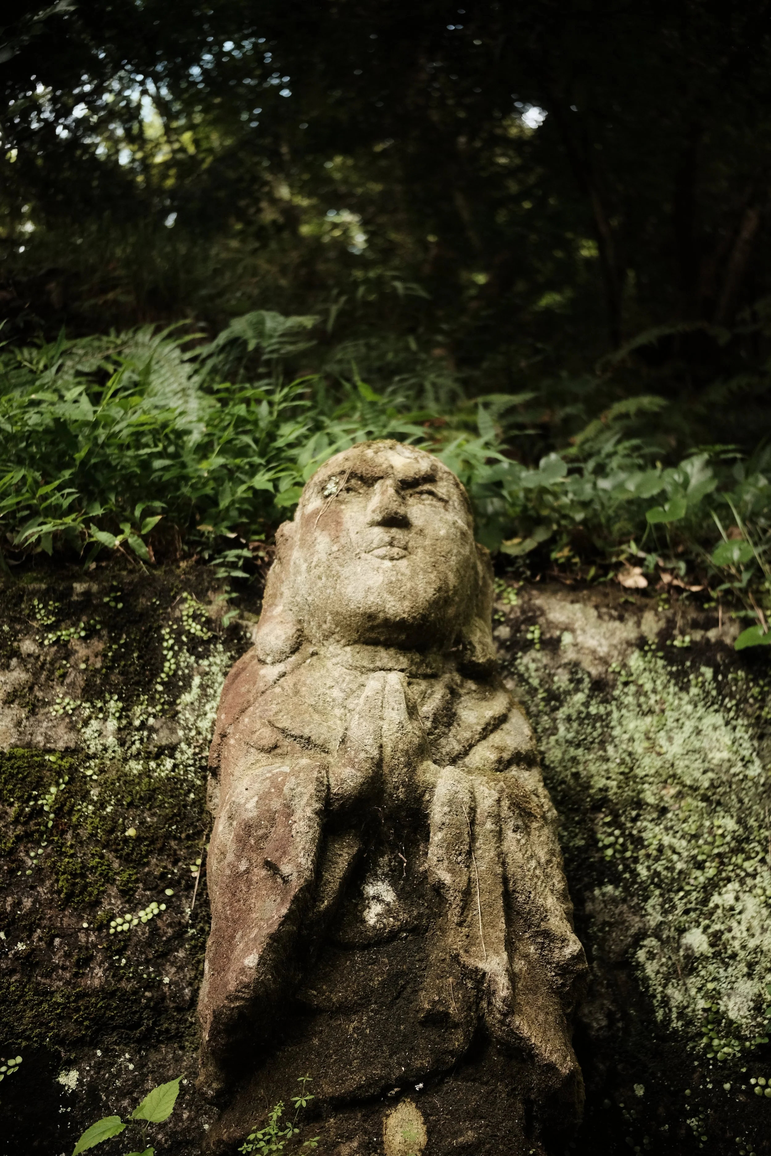 DSCF6754.JPG