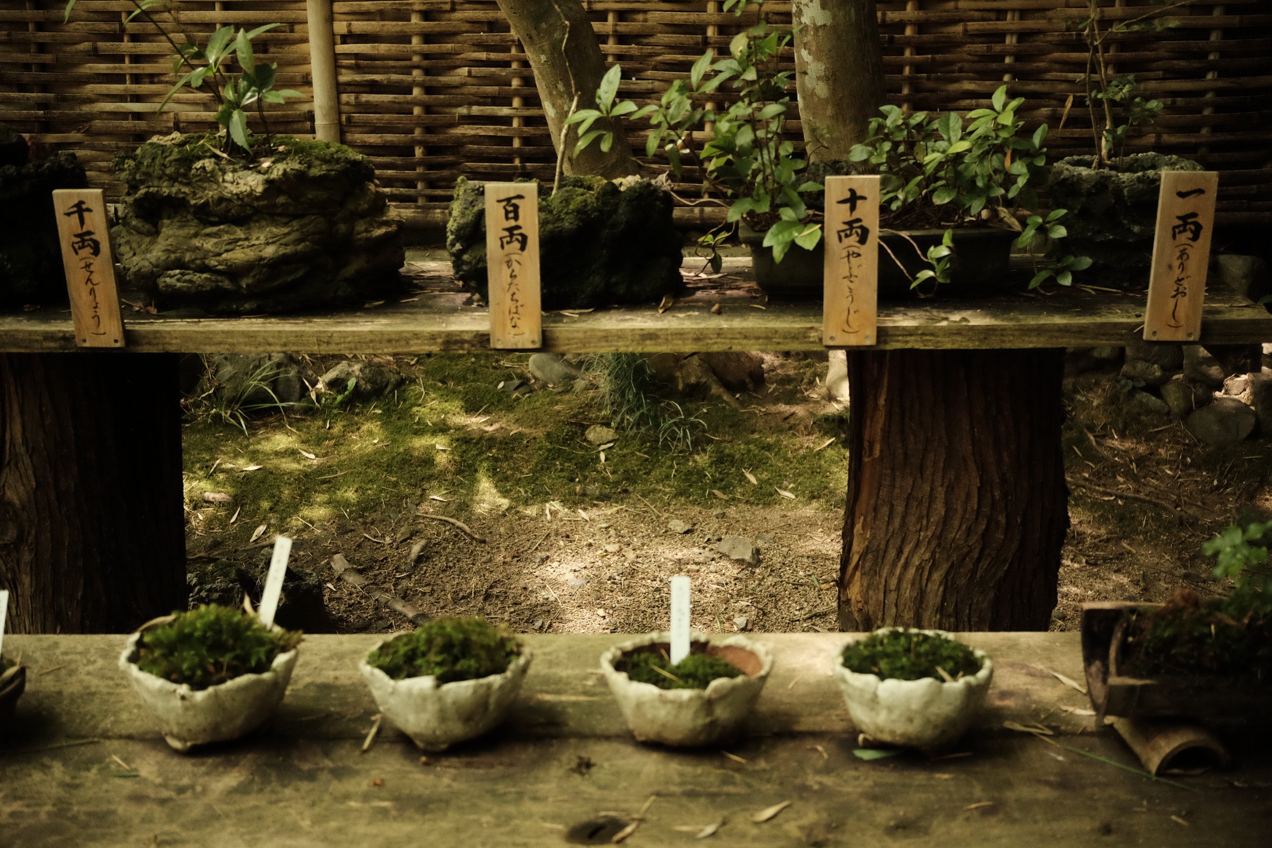 DSCF6899.JPG