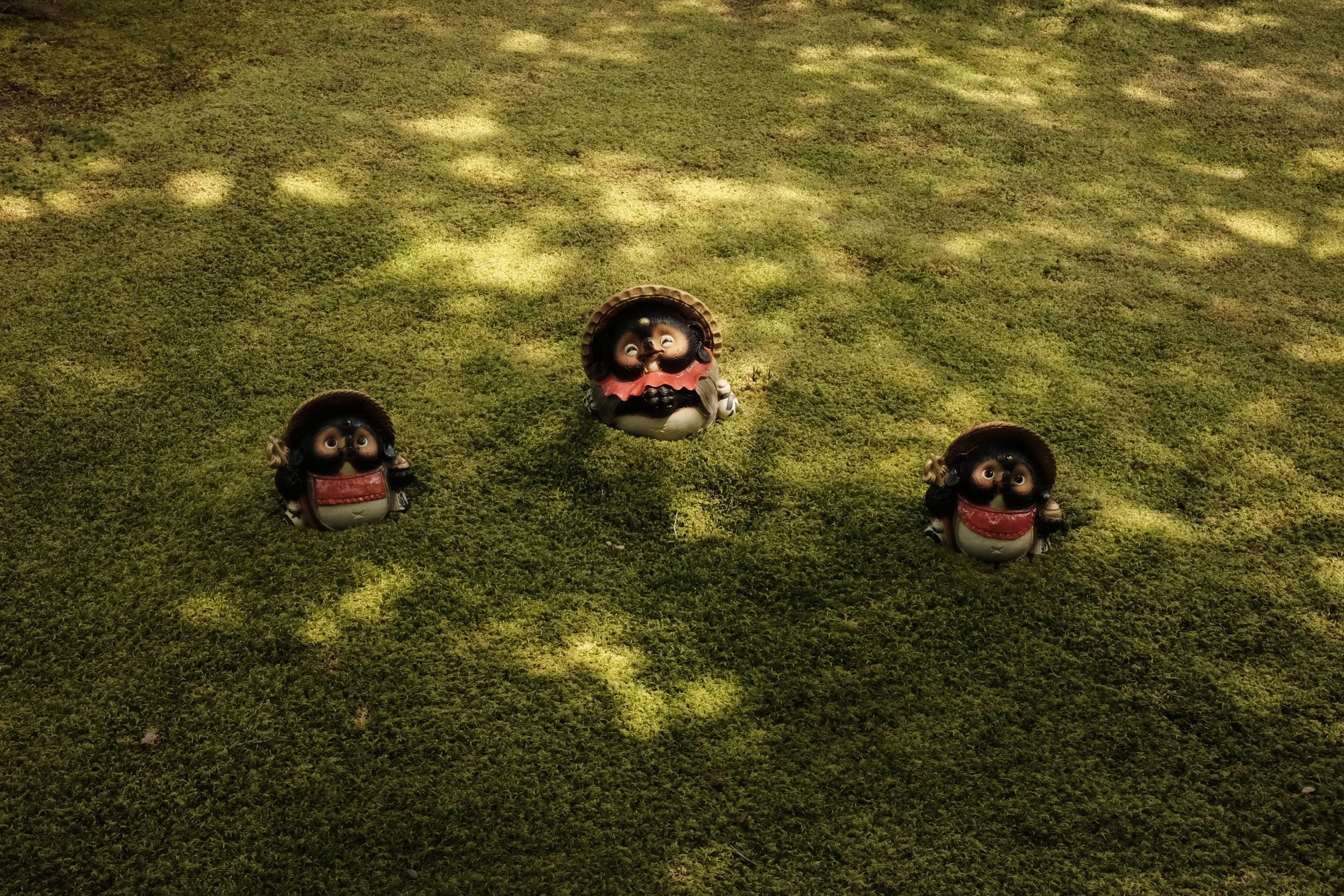 DSCF6884.JPG