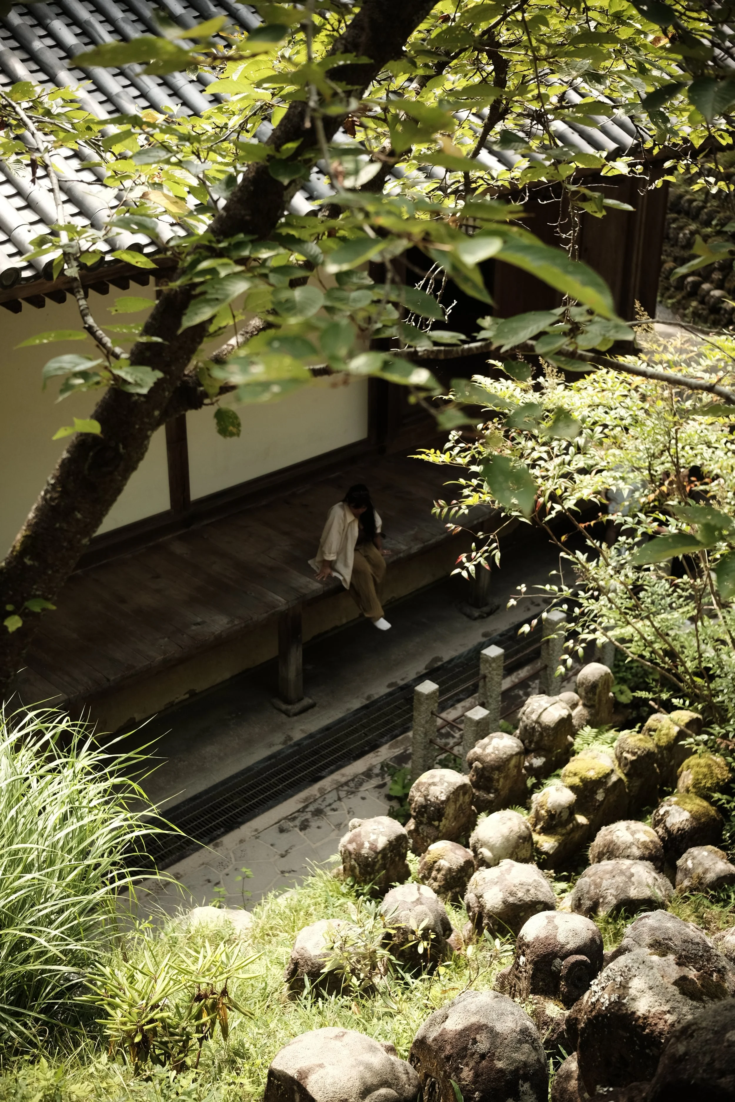 DSCF6815.JPG