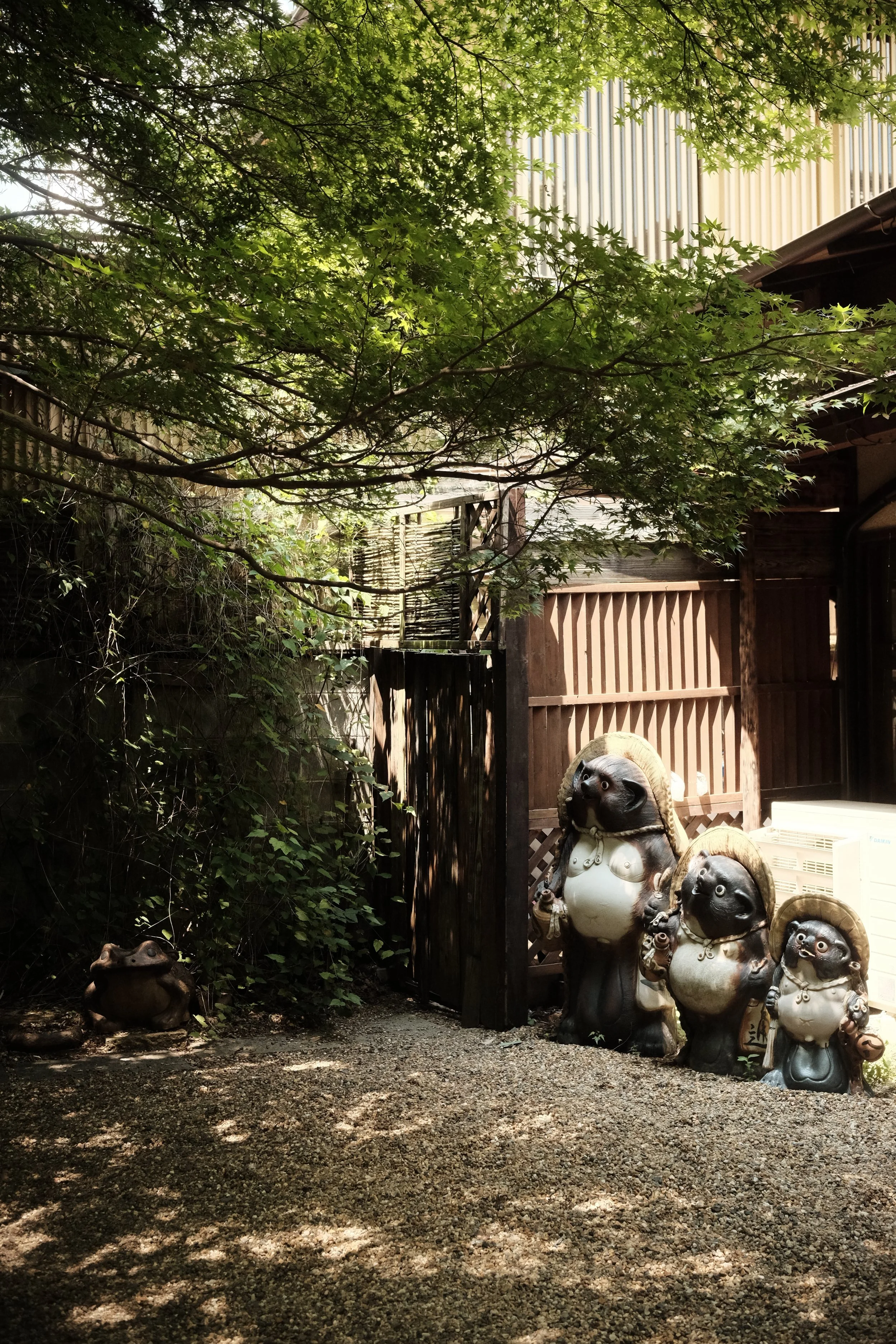 DSCF6913.JPG