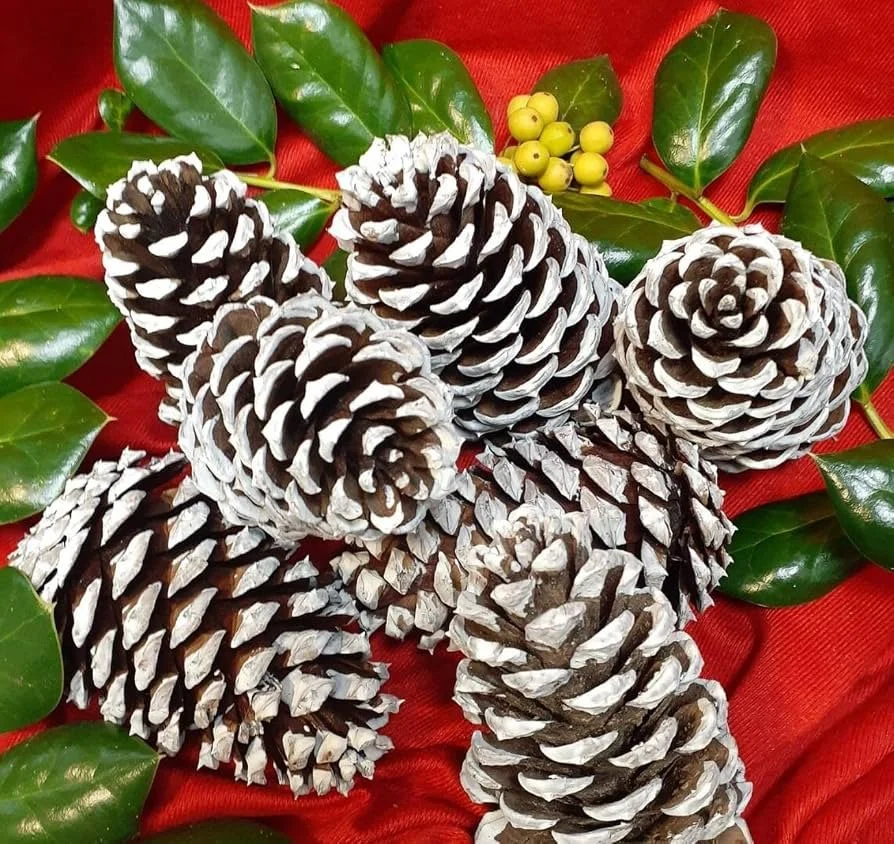 Painted Jeffrey Pine Cones