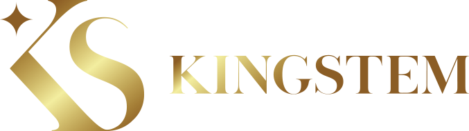 KINGSTEM