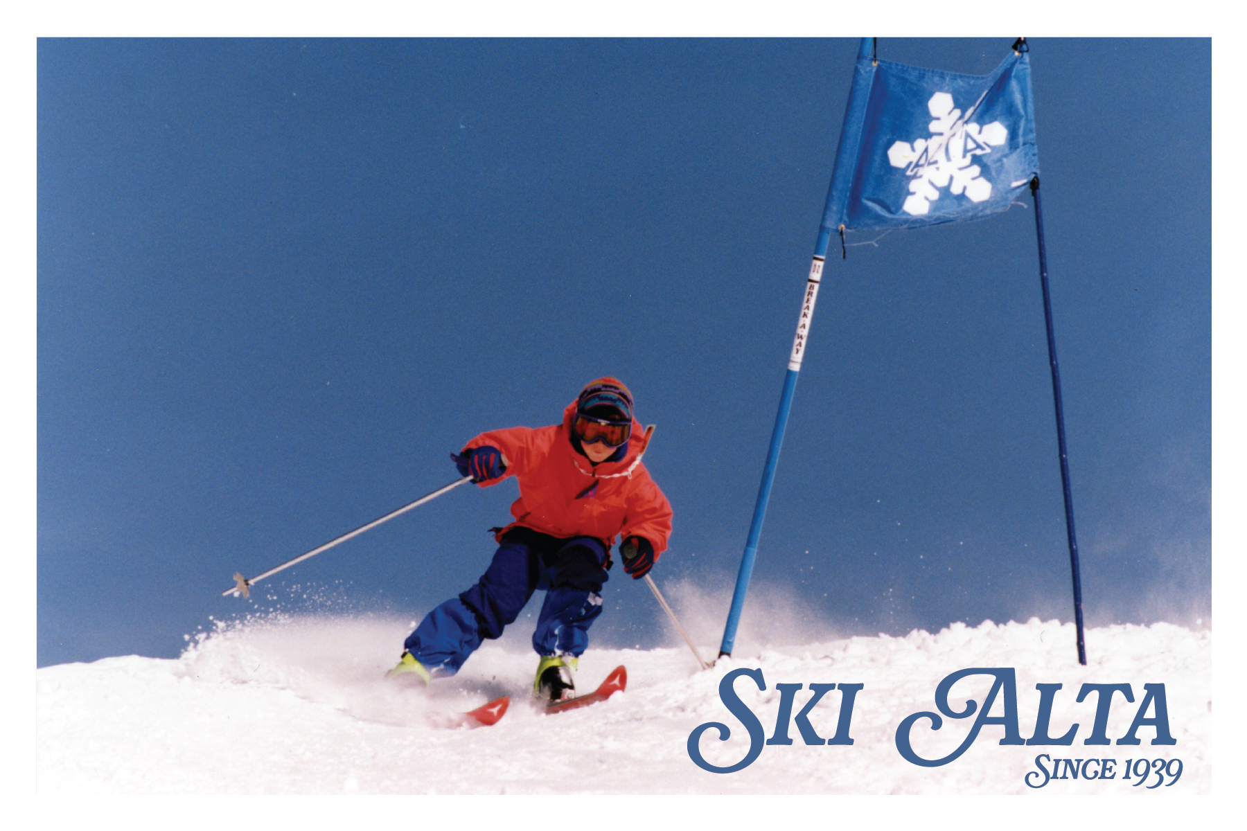 alta.png