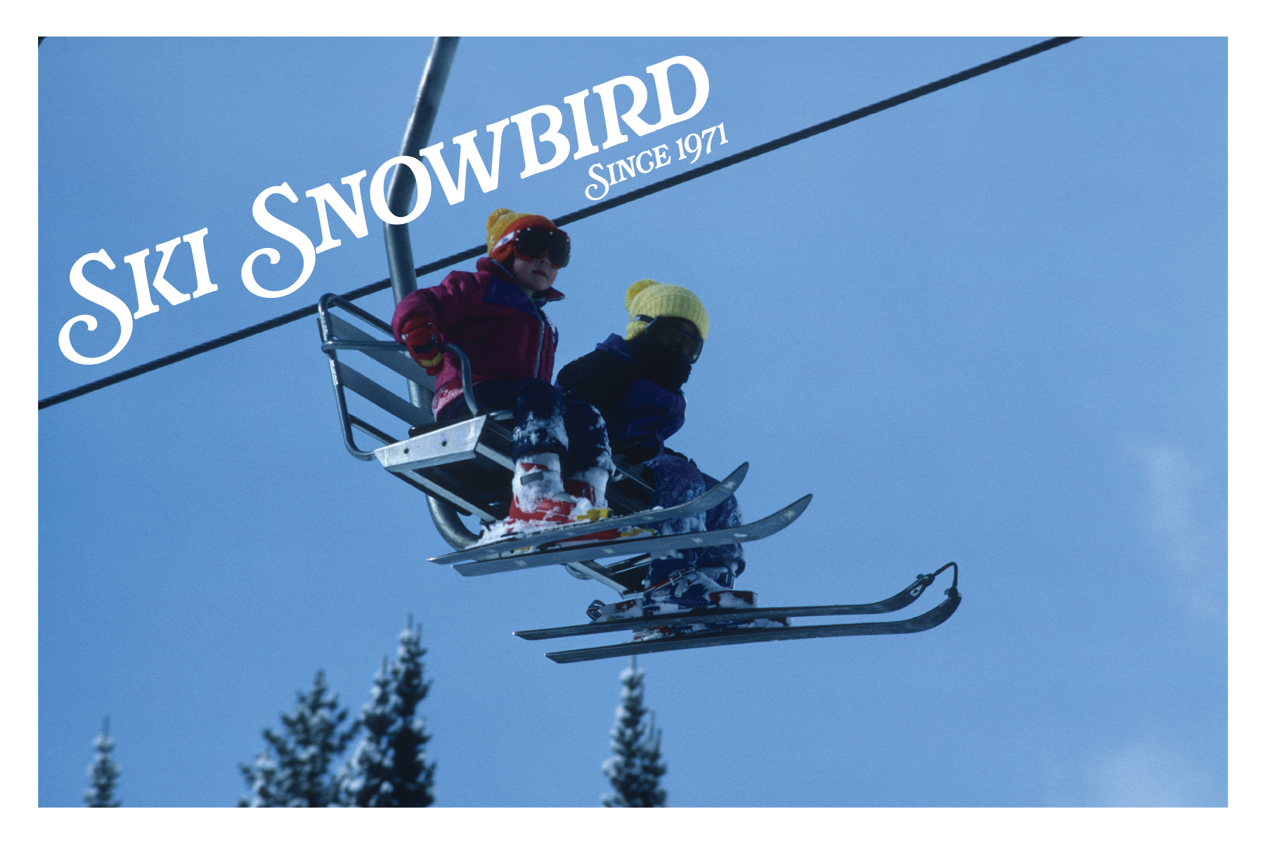 snowbird.png