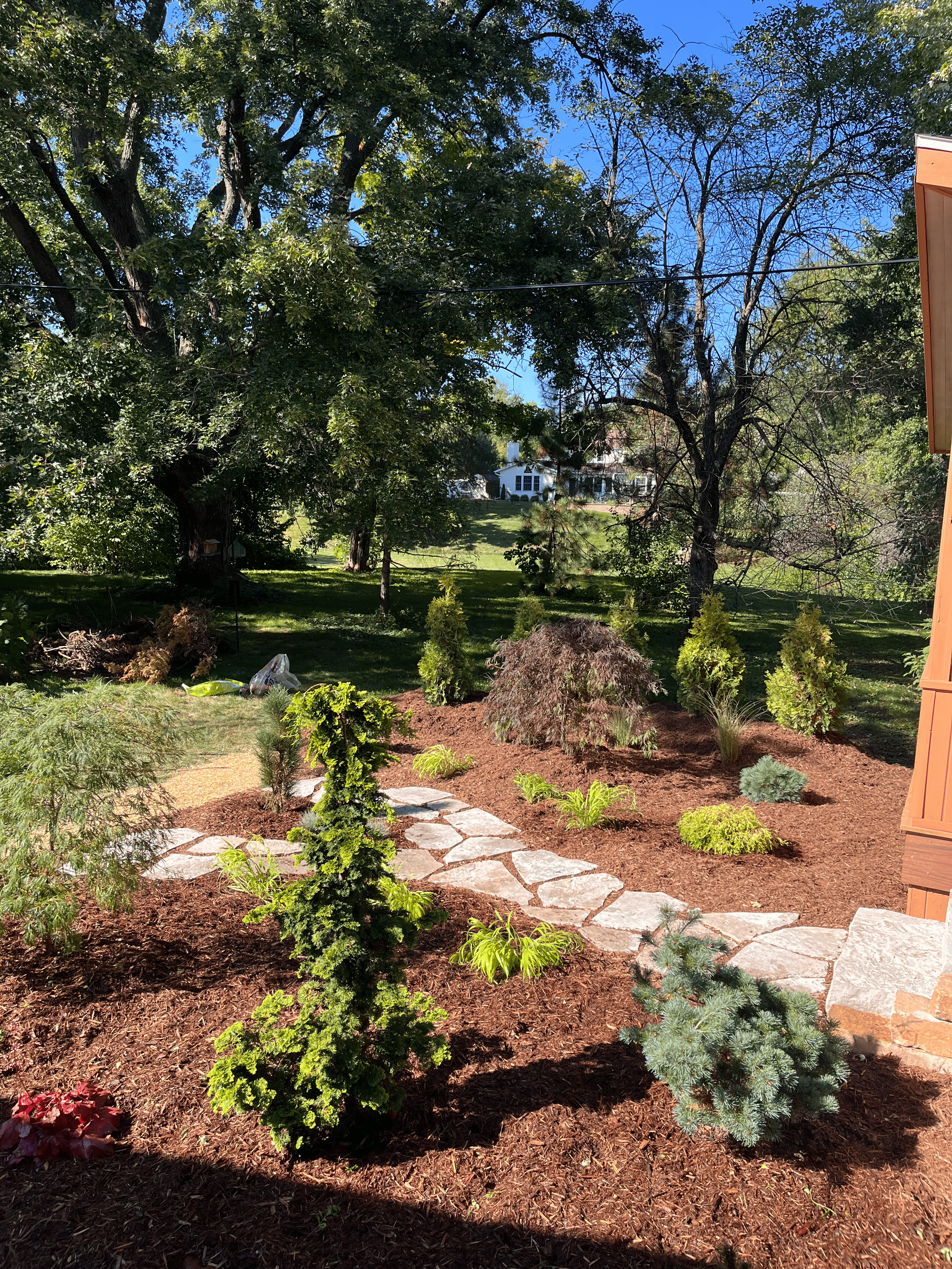 A backyard garden with a stone pathway, various small plants and shrubs, large trees, and a house visible in the background under a clear blue sky.