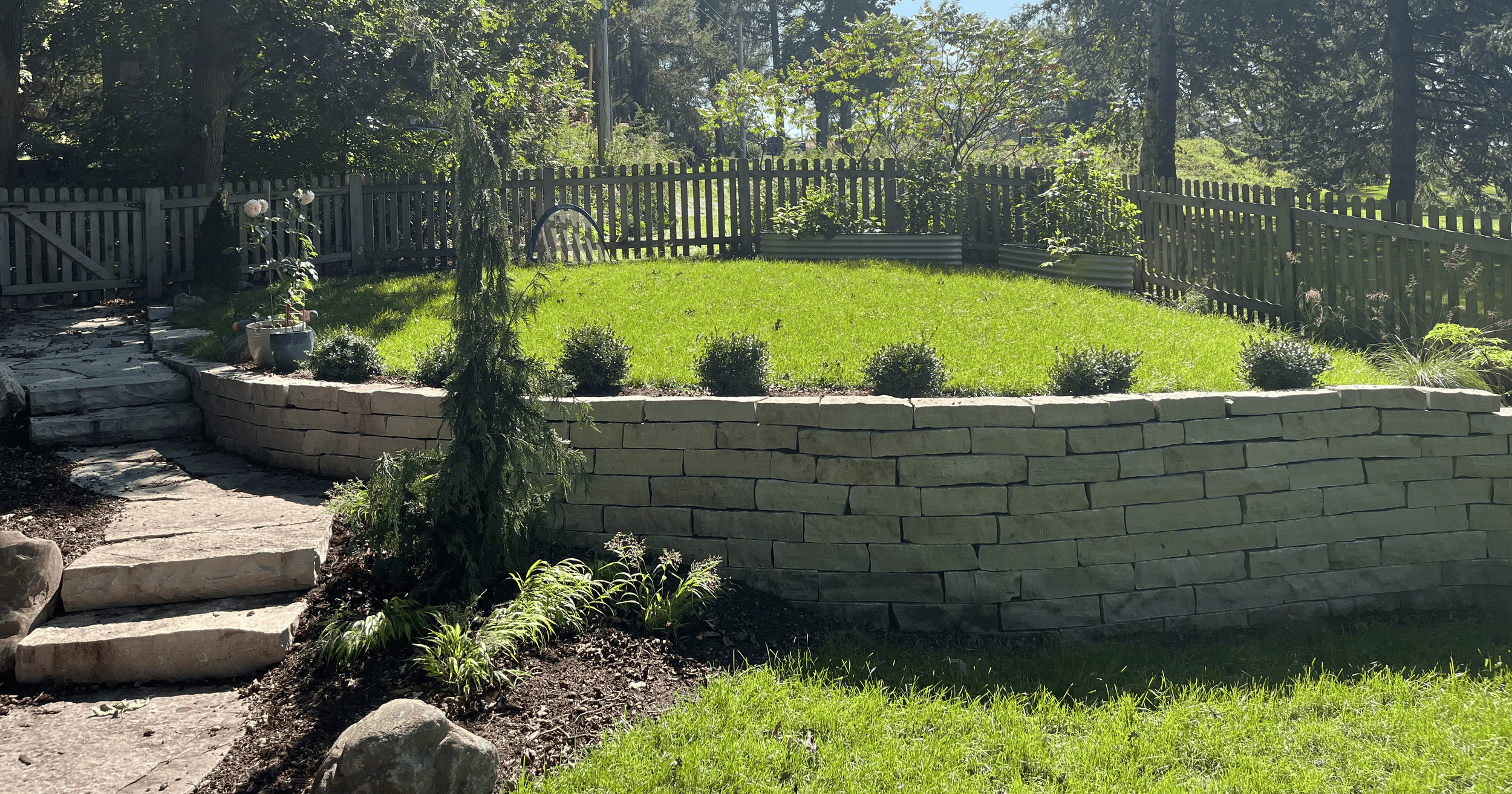 A backyard with a stone retaining wall, a well-maintained grassy lawn, plants, trees, and a wooden fence, with stone steps leading to the lawn.