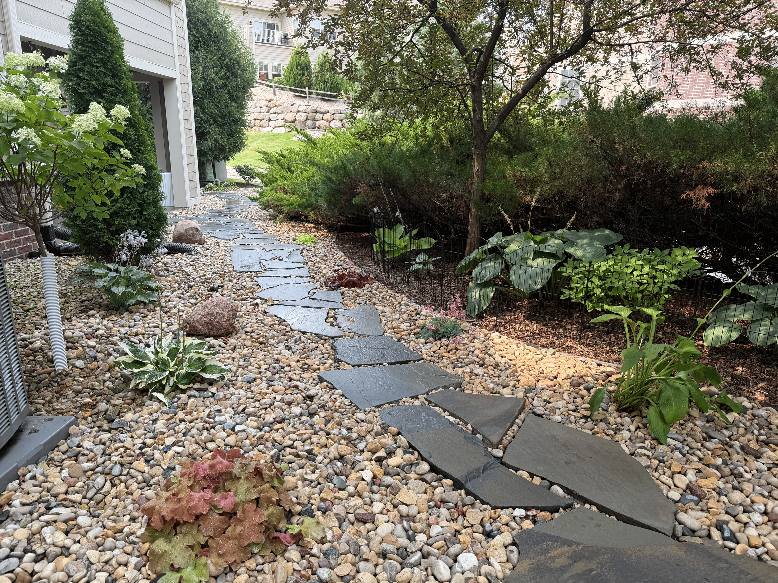 A landscaped backyard with a stone pathway and various shrubs, small trees, and garden plants. There is a house on the left side with siding and a brick foundation, and a lawn with a rock wall in the background.
