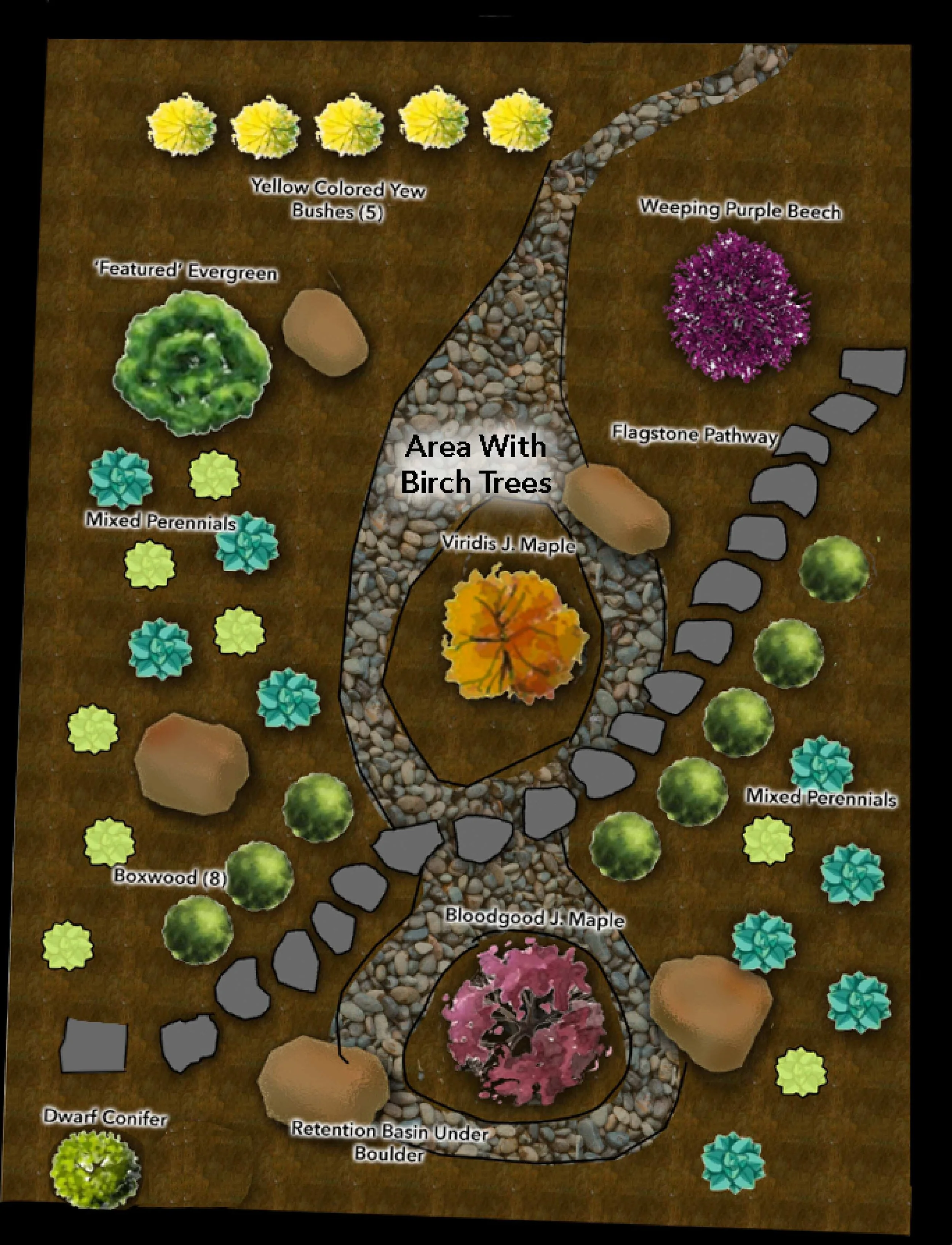 Map of a garden landscape design showing various plants and pathways, including labeled sections for yellow colored yew bushes, weeping purple beech, 'featured' evergreen, mixed perennials, boxwood, bloodgood Japanese maple, windmill companion, retention basin under boulder, dwarf conifer, and patio.