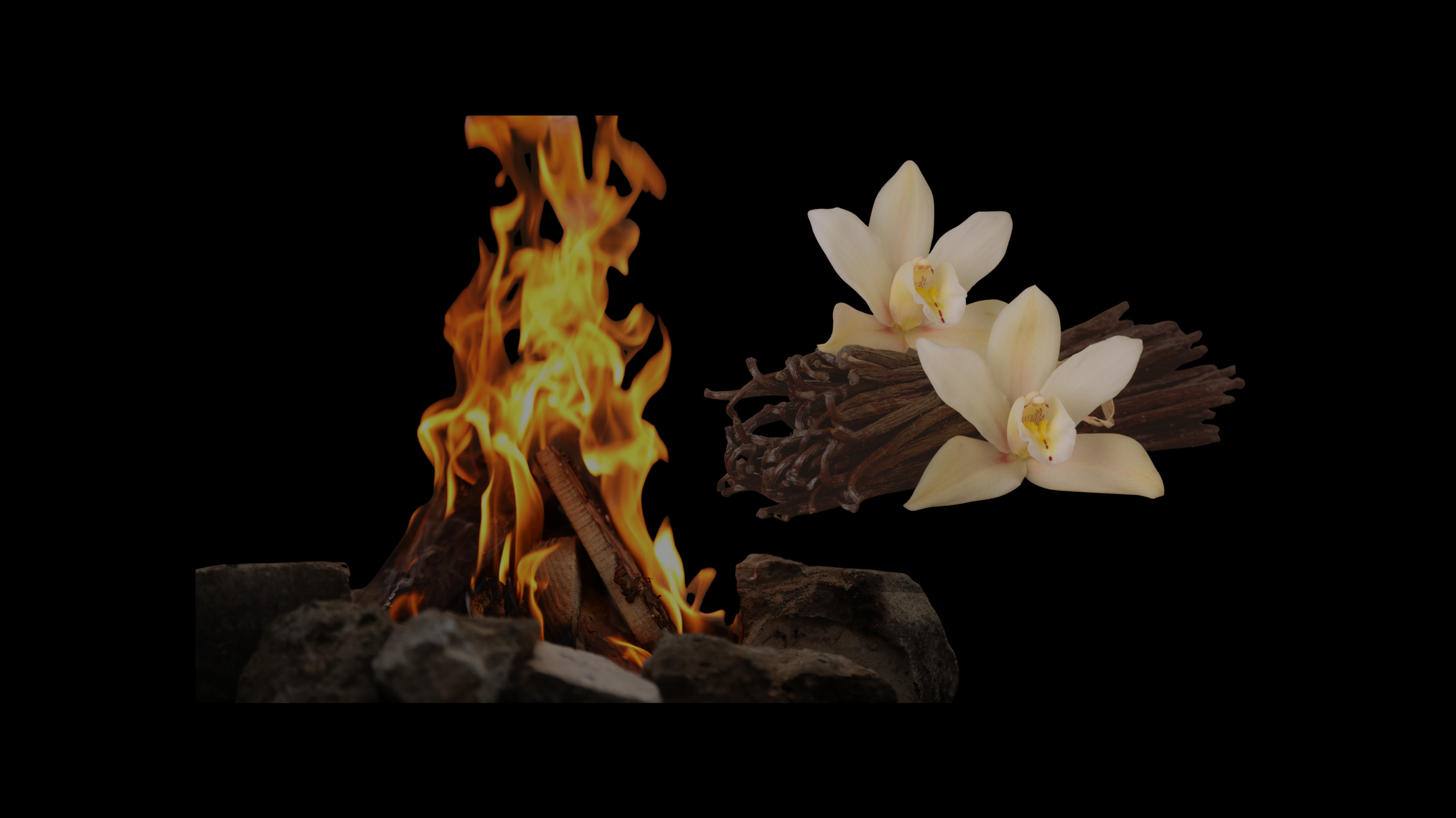 Fire burning on a pile of rocks next to white orchids and driftwood against a black background.