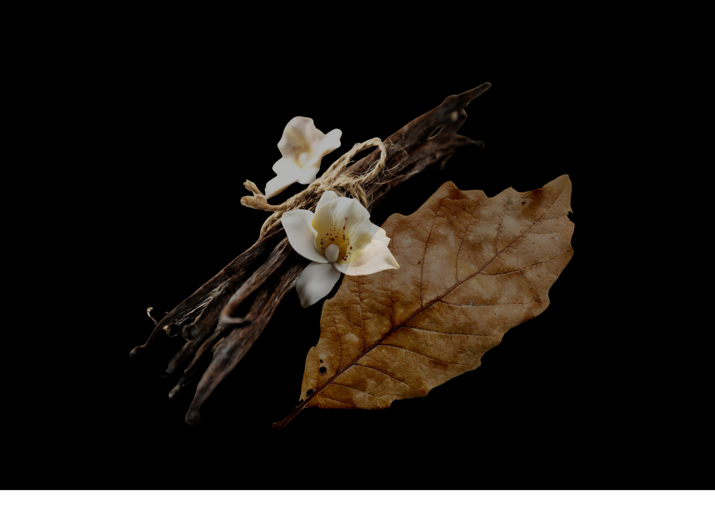 Arrangement of dried leaves, twigs, white orchid flowers, and a piece of driftwood on a black background.