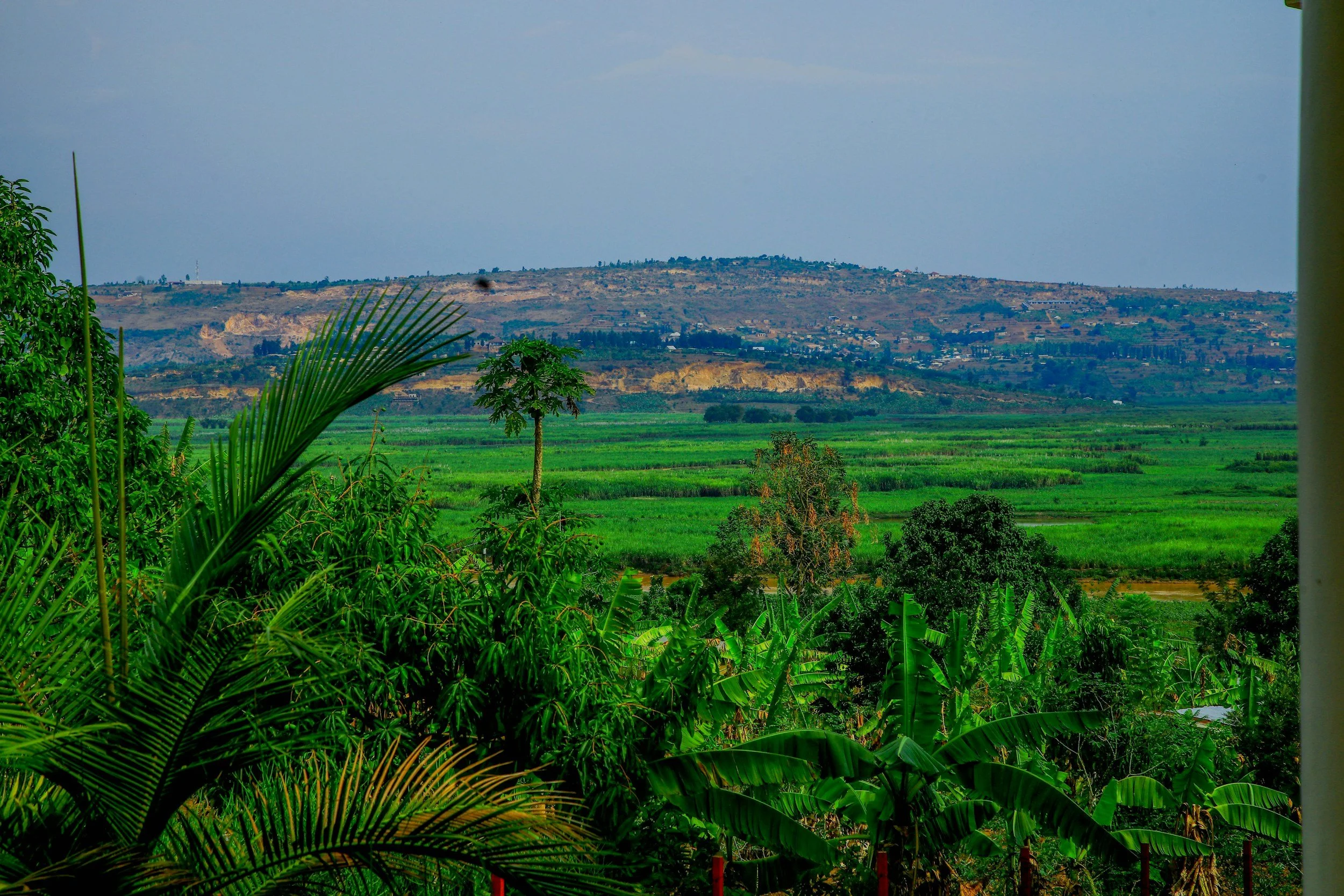 A scenic view of a lush green landscape with trees and fields in the foreground, rolling hills and distant buildings in the background, under a cloudy sky.