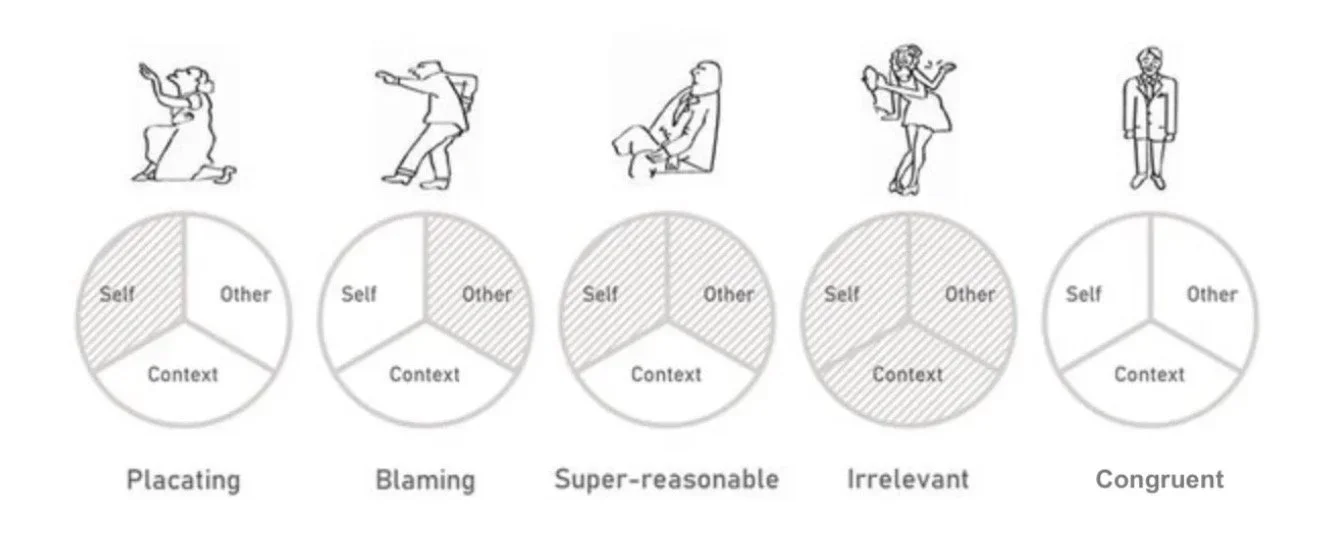 Illustration showing five different types of social judgments: Placating, Blaming, Super-reasonable, Irrelevant, and Congruent, each with a pie chart divided into Self, Other, and Context sections.