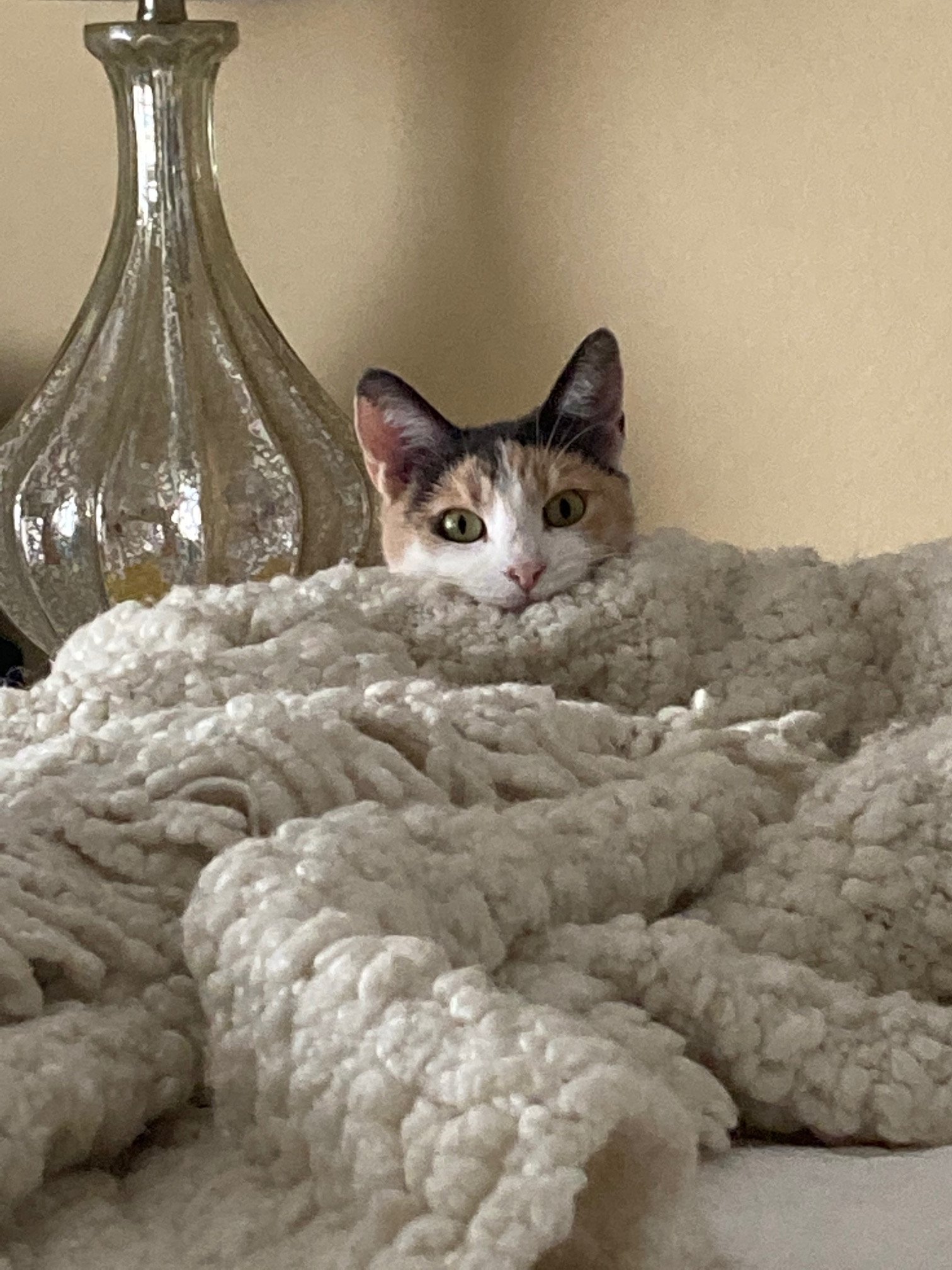 Close-up of a calico cat with green eyes lying on a textured beige surface, with a decorative silver vase or lamp in the background.