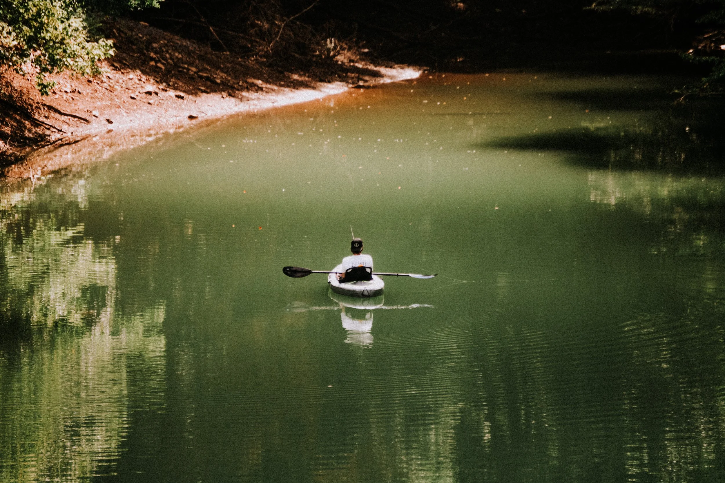 Person kayaking on calm green water in a wooded area at night.